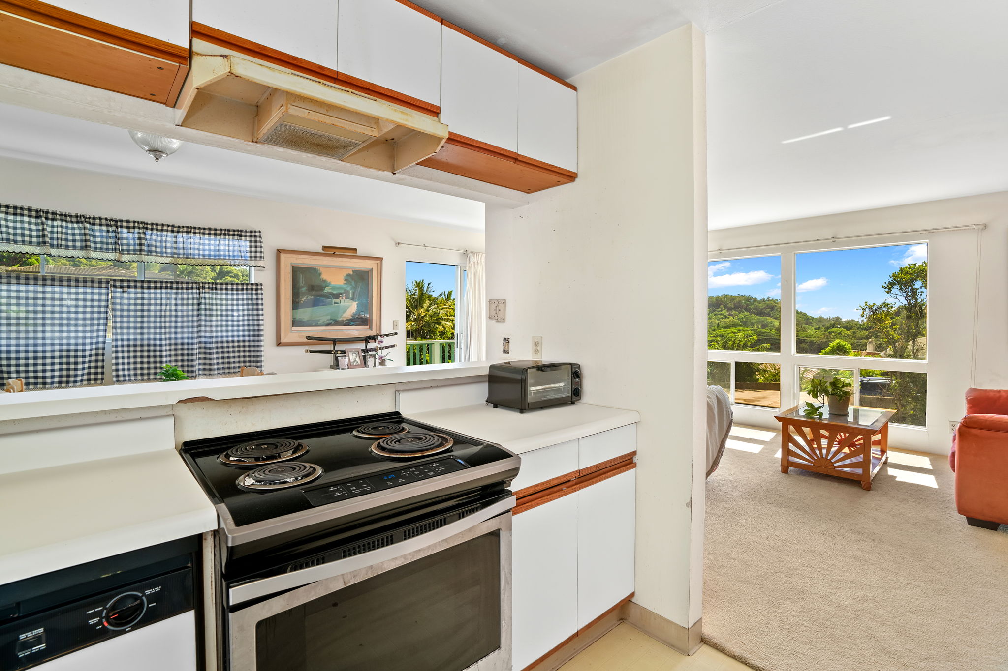 3541 Pua-kenikeni St Property Photo 5