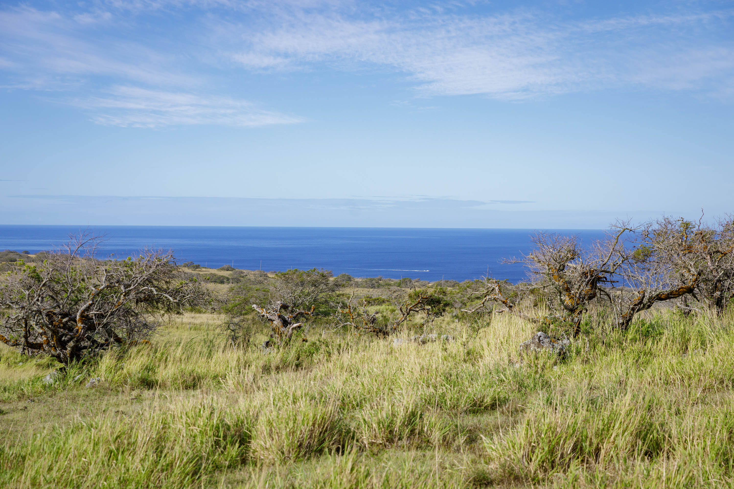 Lahuiki Pl Lot 9 Property Photo 3