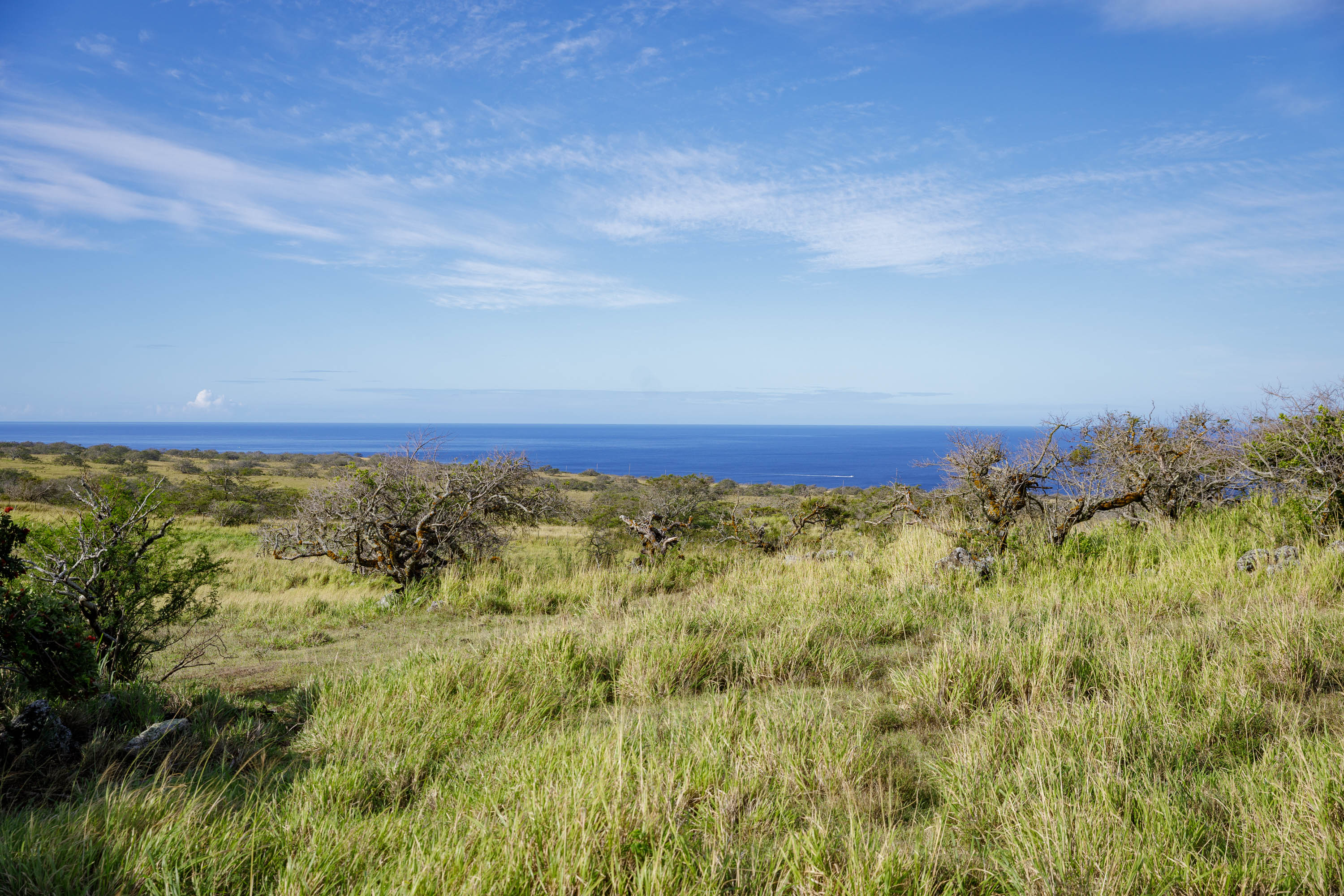 Lahuiki Pl Lot 9 Property Photo 4
