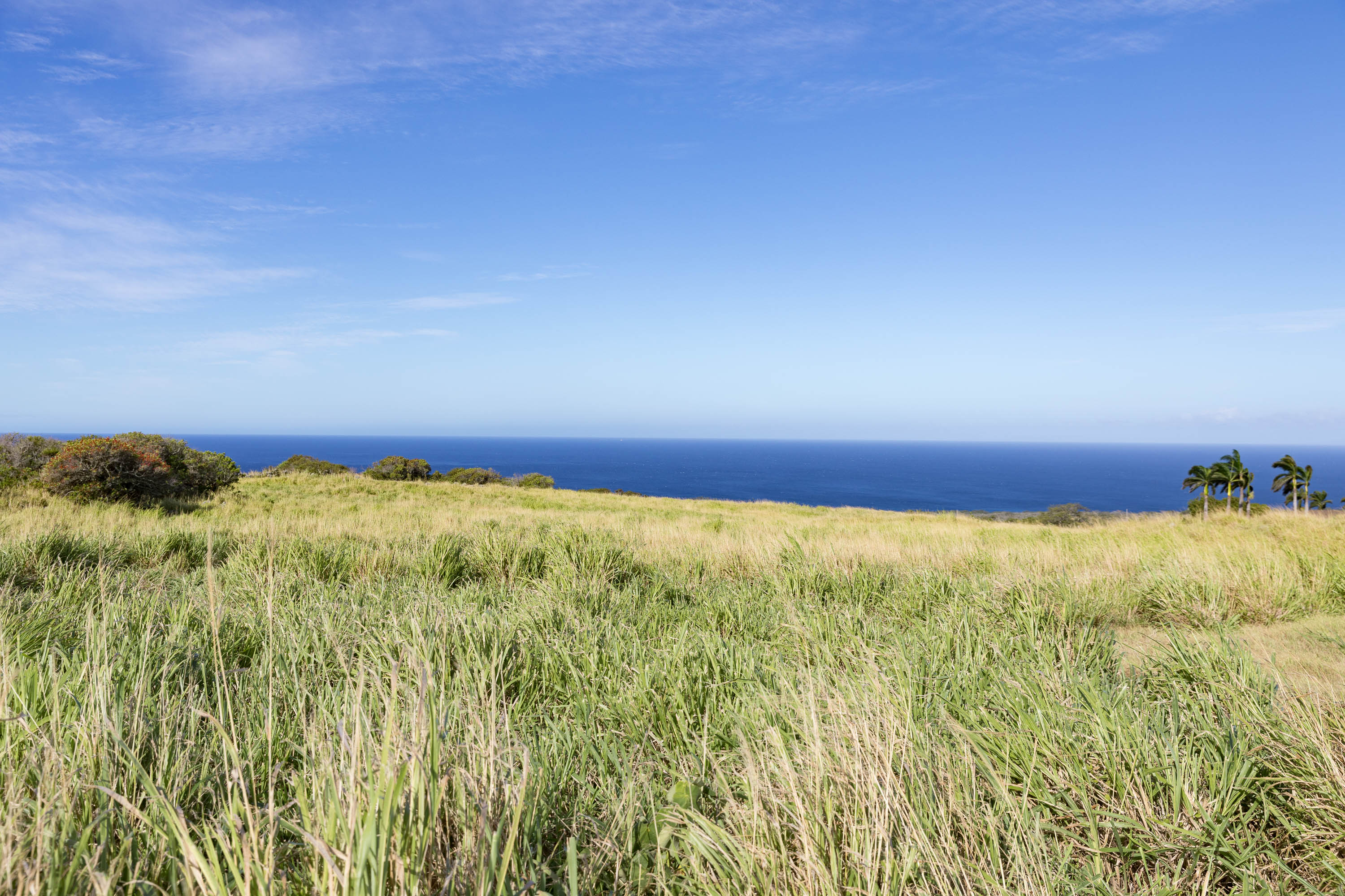 Lahuiki Pl Lot 9 Property Photo 6