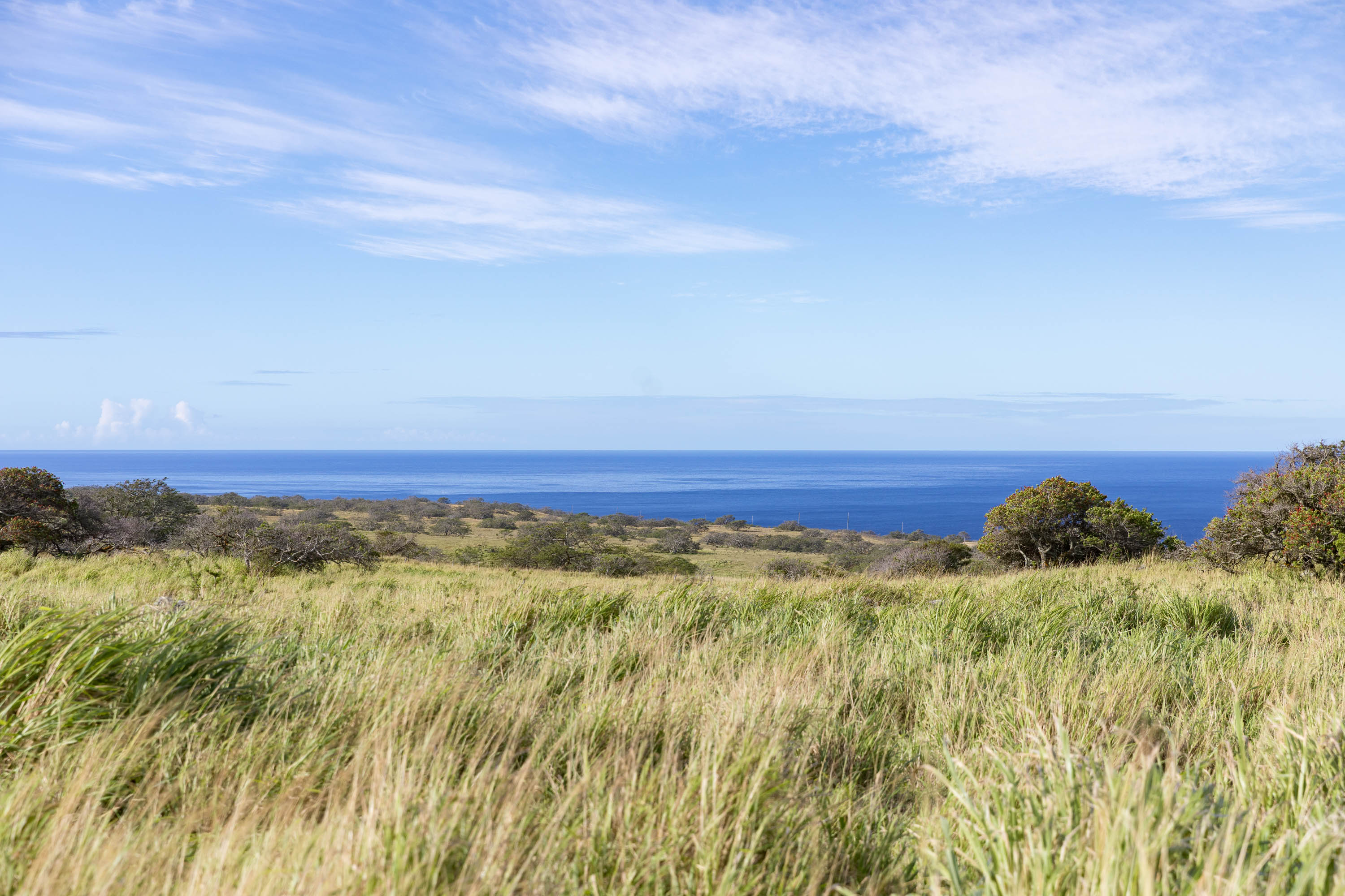 Lahuiki Pl Lot 9 Property Photo 8