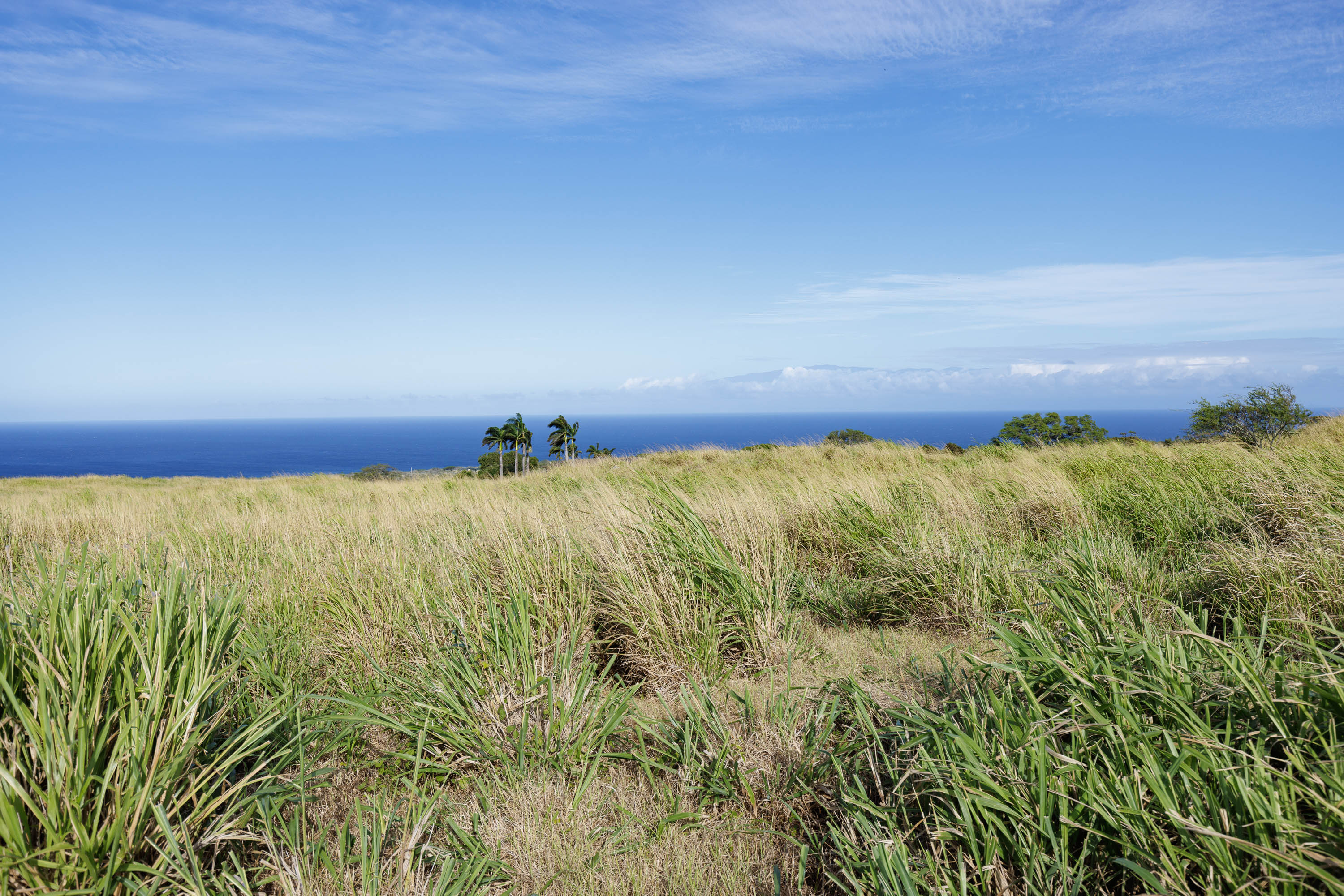 Lahuiki Pl Lot 9 Property Photo 9
