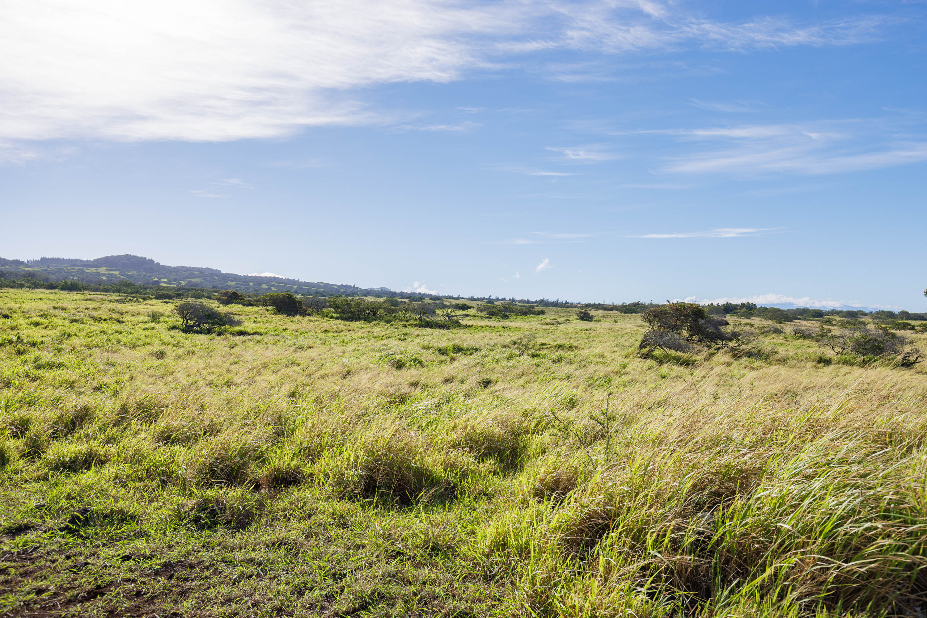 Lahuiki Pl Lot 9 Property Photo 11