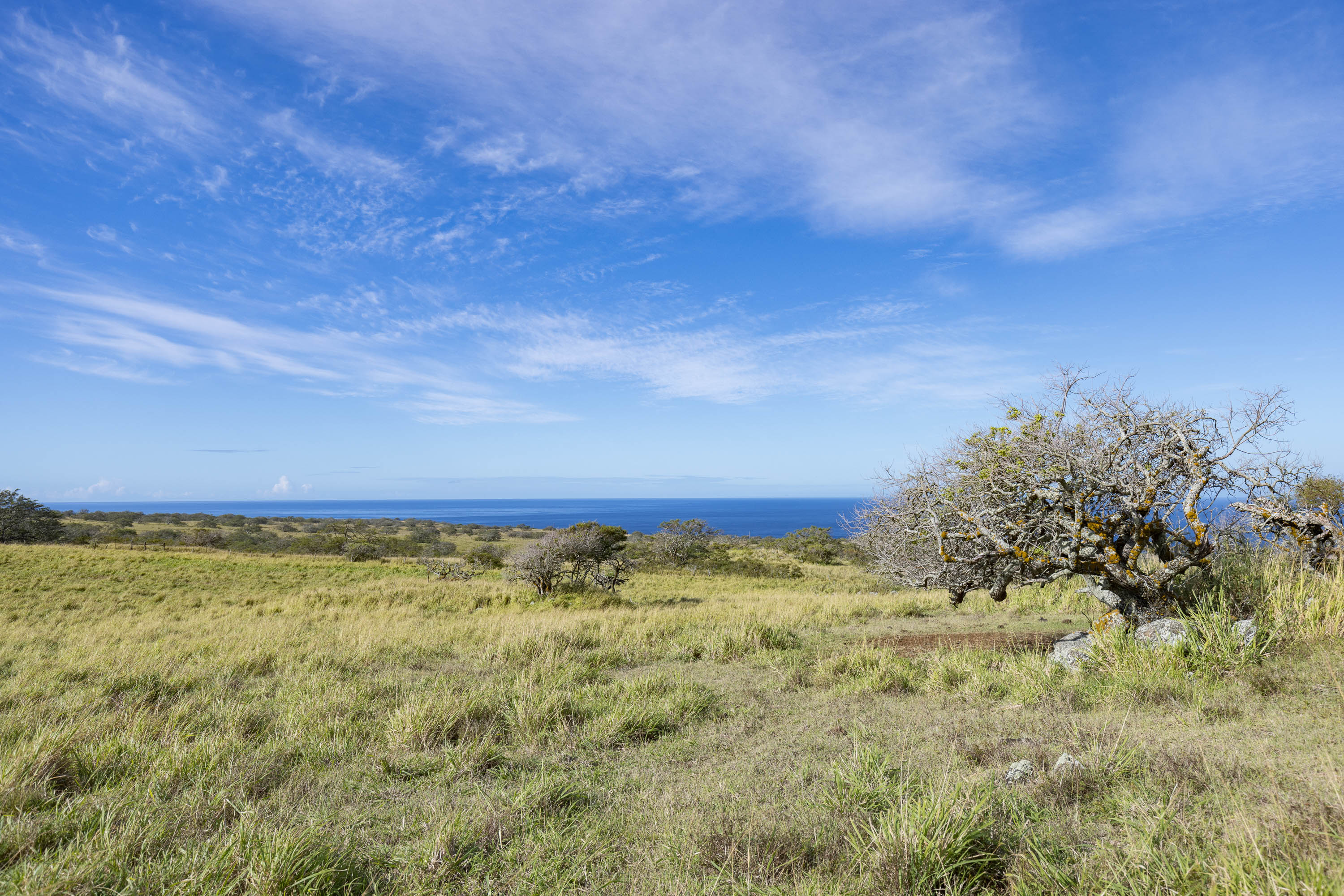 Lahuiki Pl Lot 9 Property Photo 15