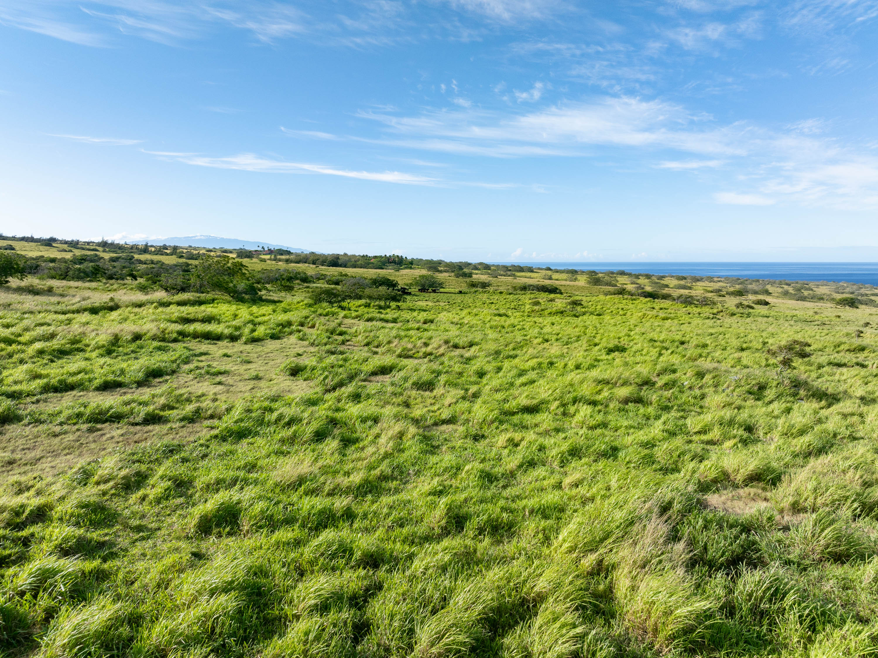 Lahuiki Pl Lot 9 Property Photo 23