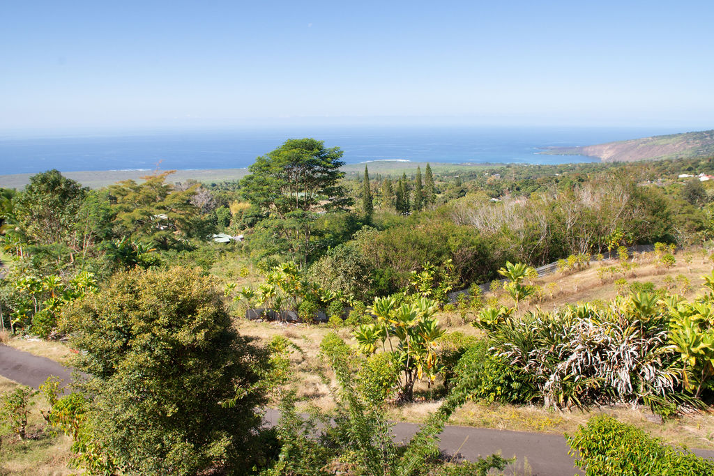 83-1070 Honaunau School Rd Property Photo 19