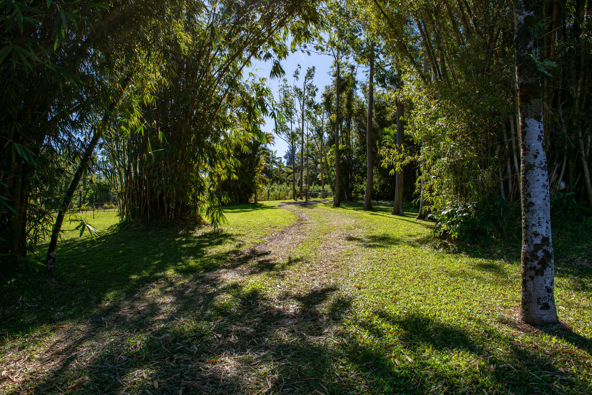55-2253 Kynnersley Rd Property Photo 23