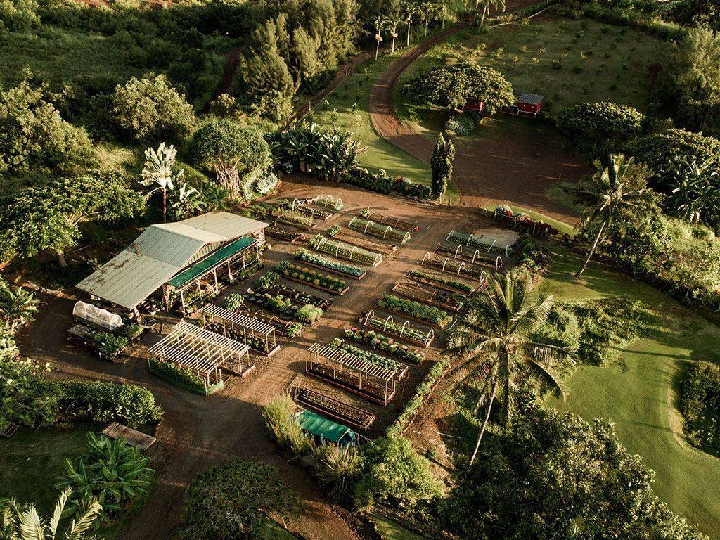 3026 Ala Haku Lei Lp Property Photo 16