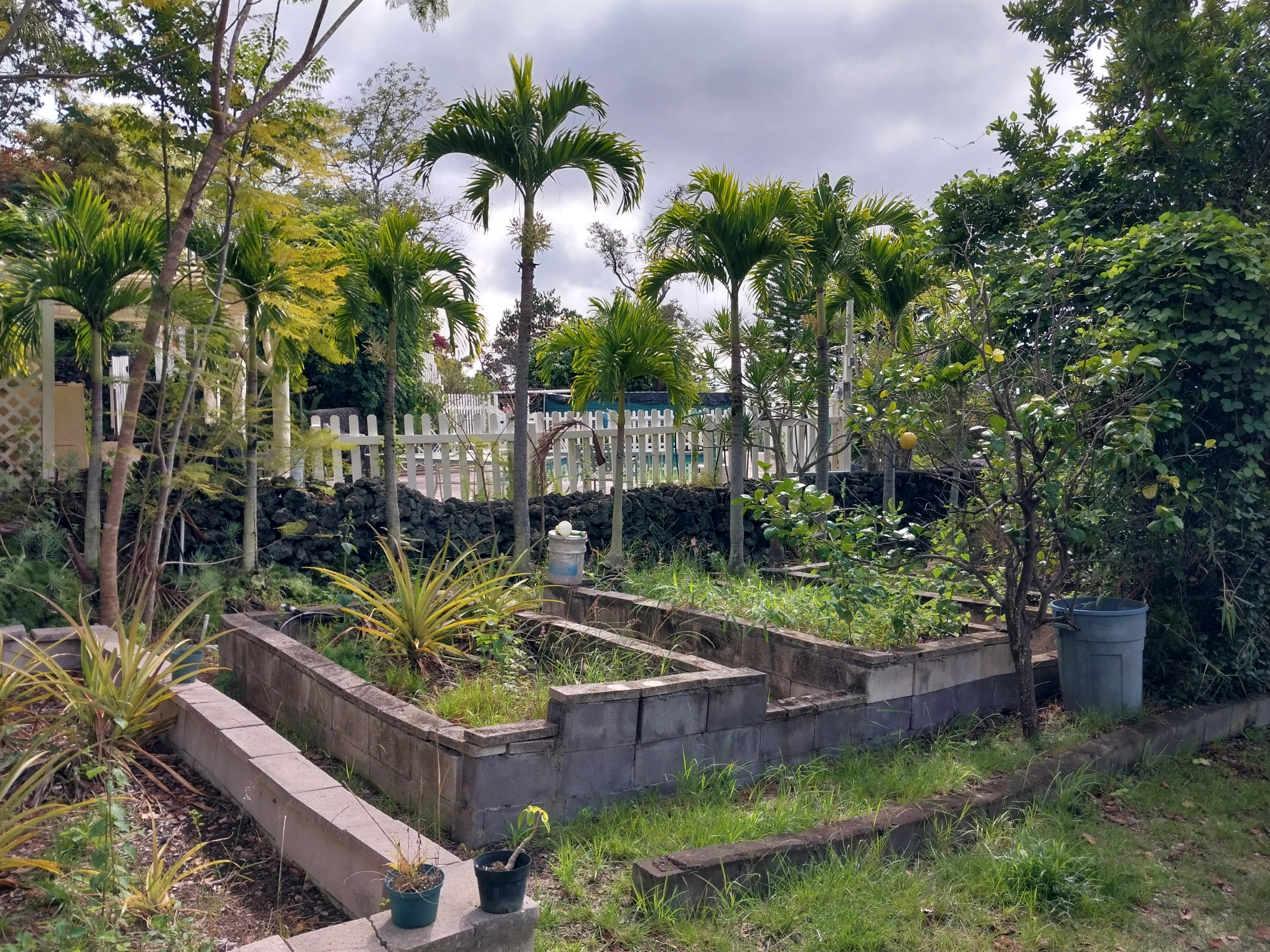 92-8767 Hawaii Blvd Property Photo 22