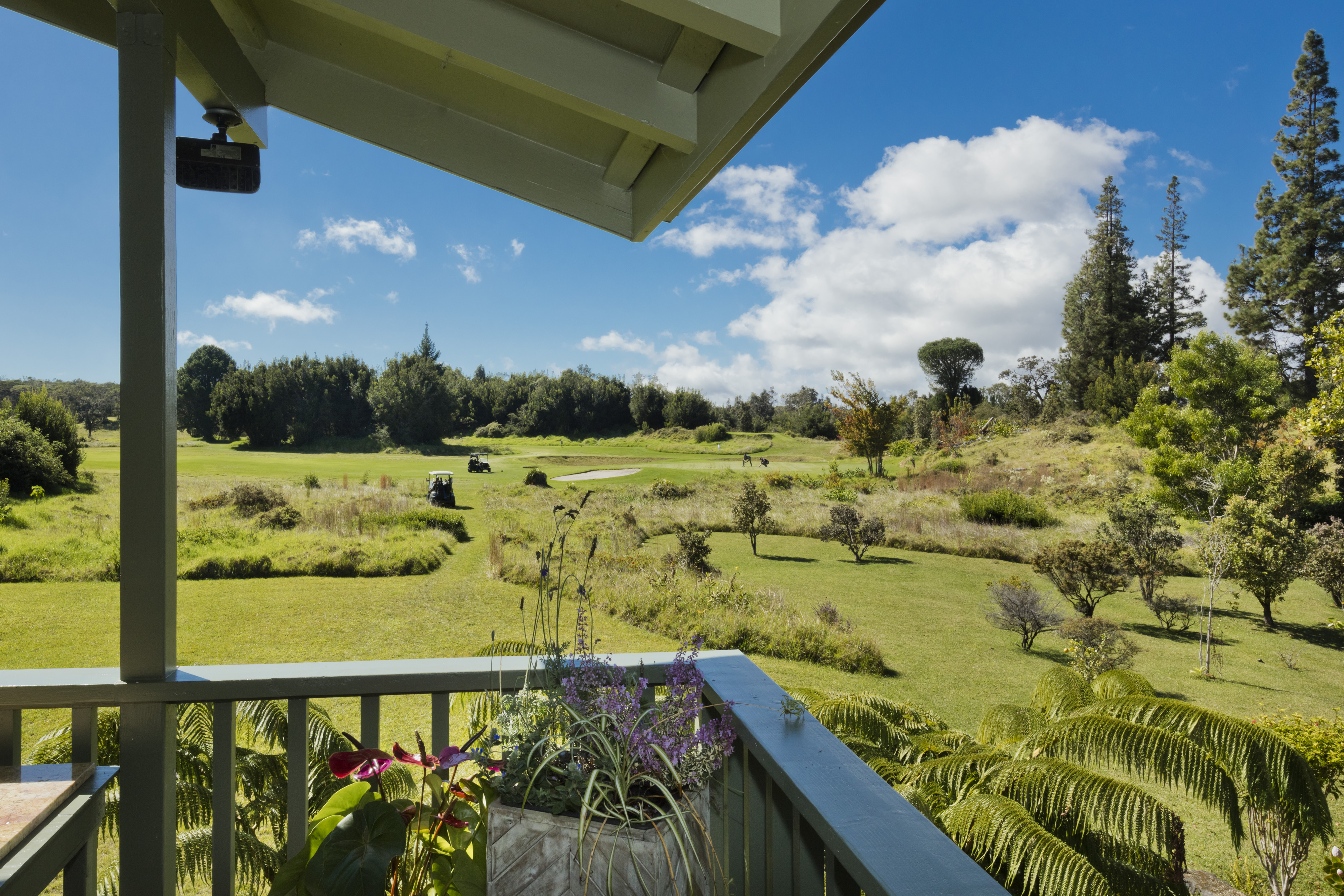 99-7816 Kanawao Pl Property Photo 14