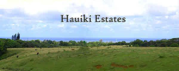 6421-l Hauiki Rd Property Photo 30
