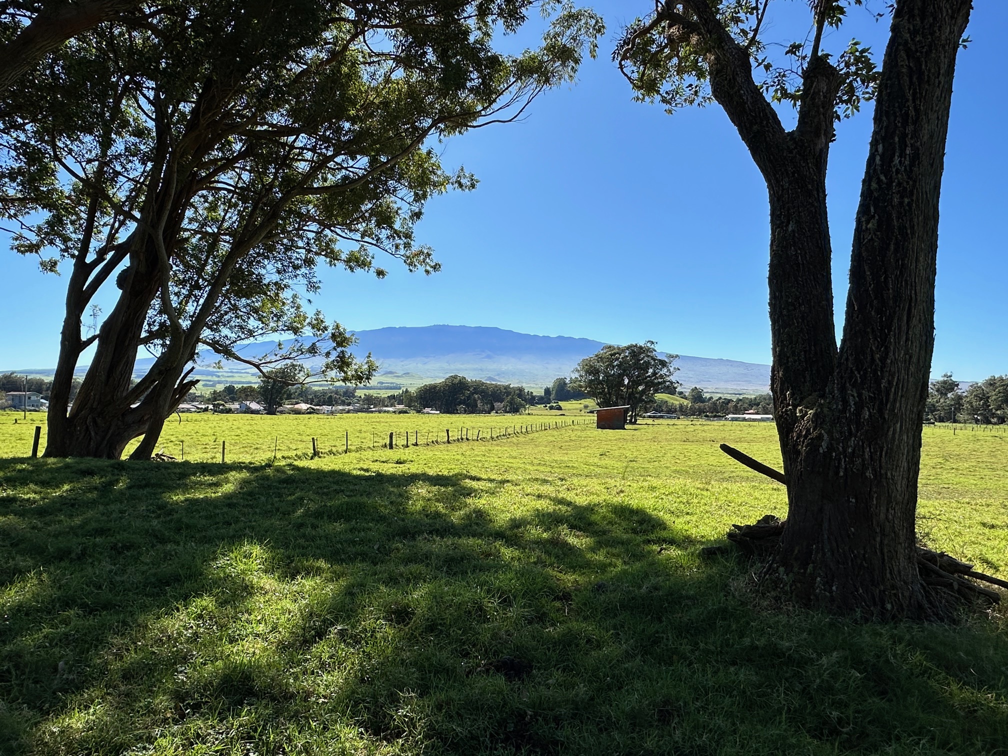 64-550 Mamalahoa Highway Property Photo 3