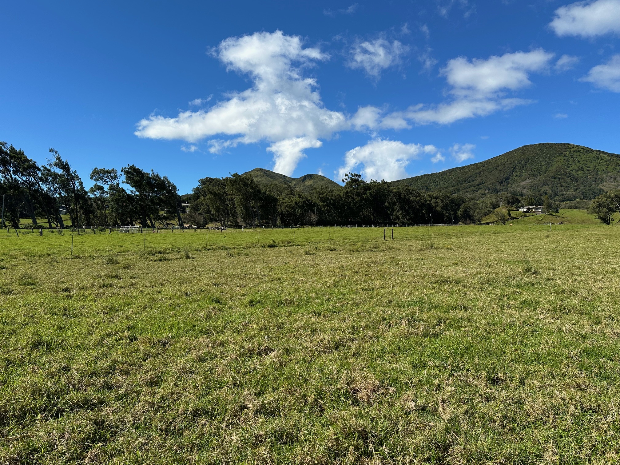 64-550 Mamalahoa Highway Property Photo 4