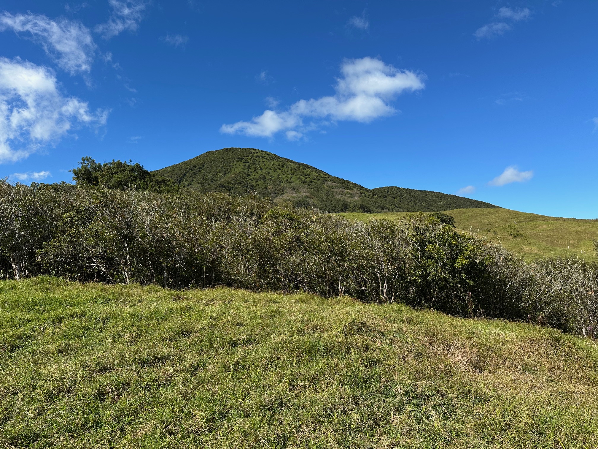64-550 Mamalahoa Highway Property Photo 7