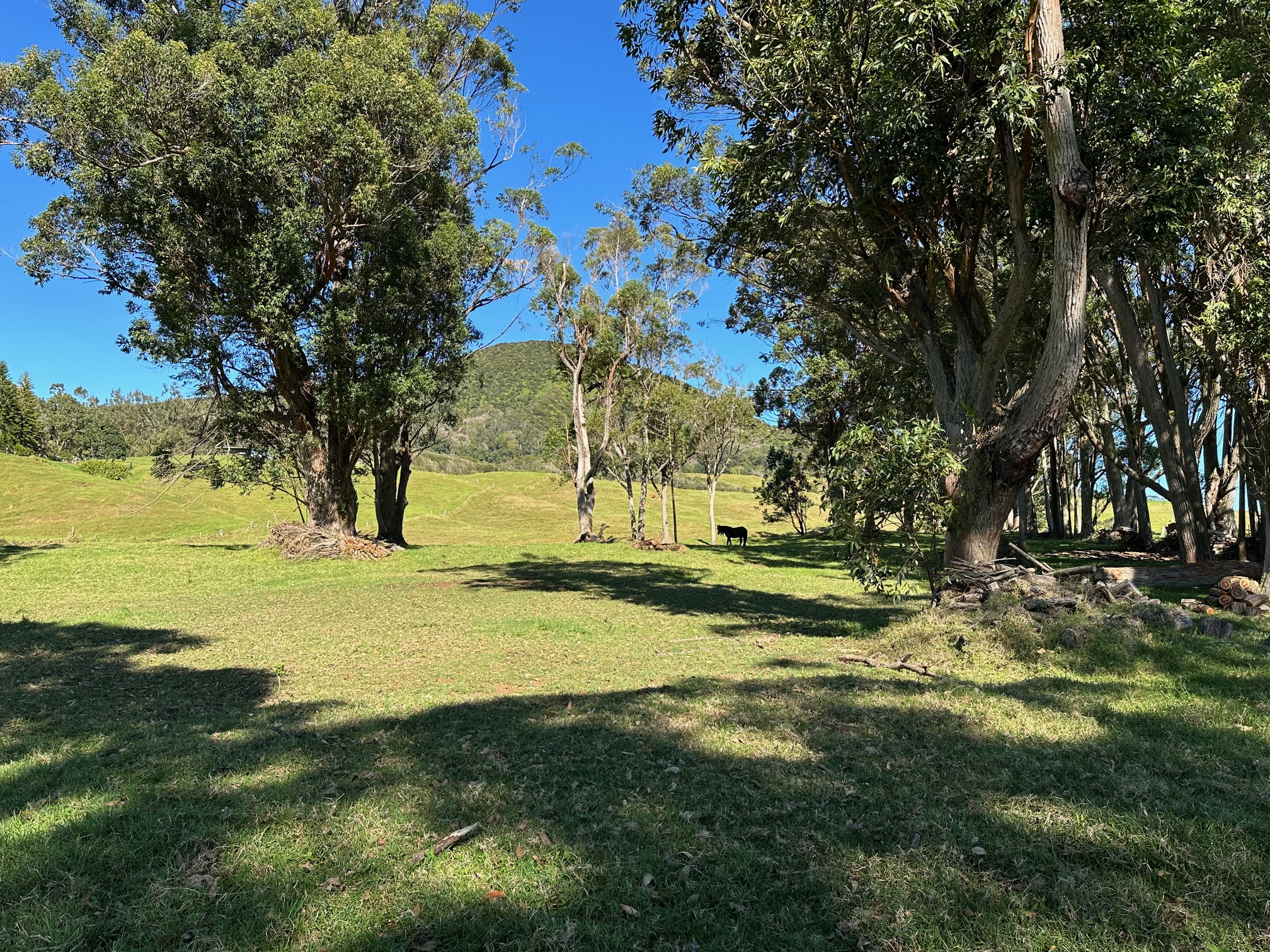 64-550 Mamalahoa Highway Property Photo 12