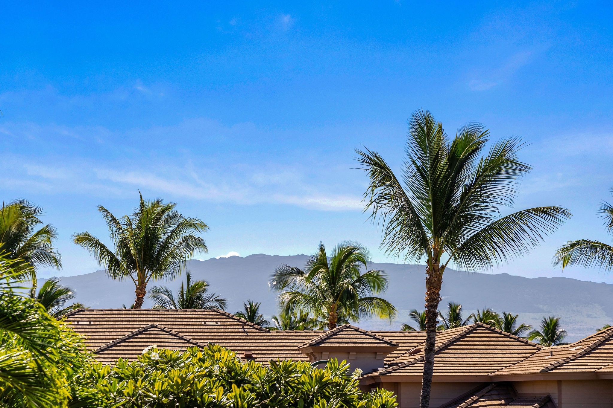 69-555 Waikoloa Beach Dr 2605 Property Photo 24