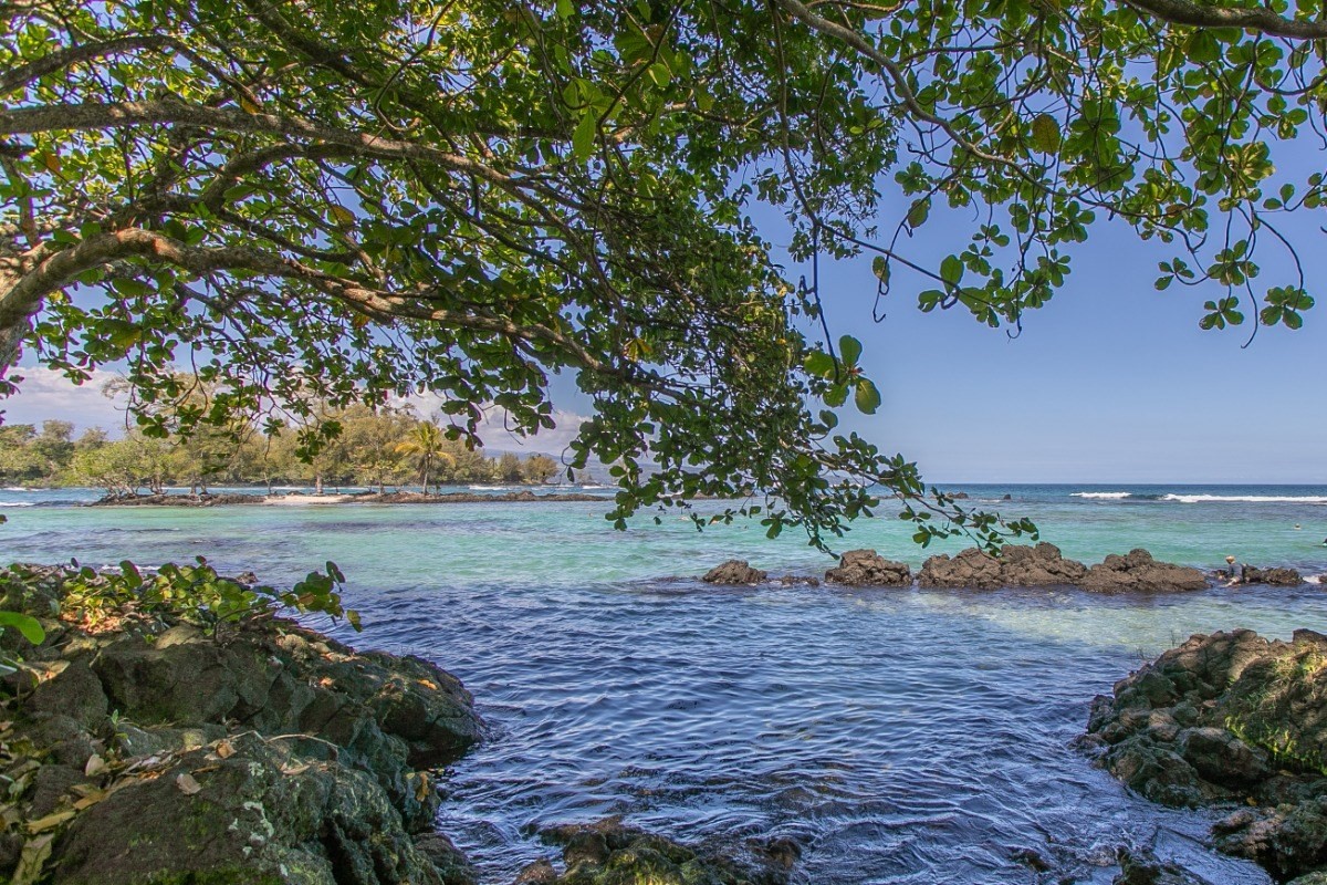 1875 Mauna Loa Shores 505 Property Photo 6