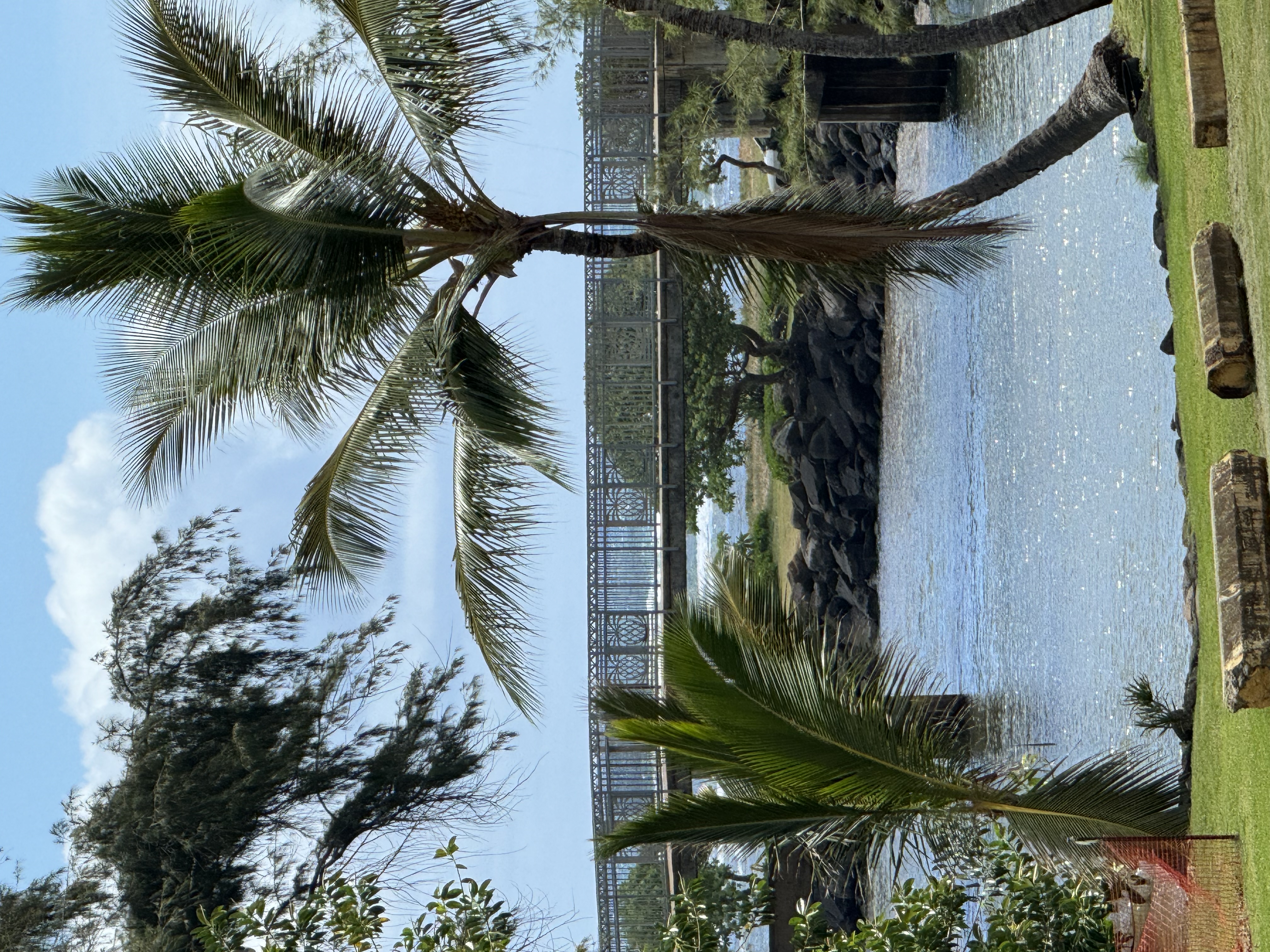 04-1176-b Kuhio Hwy 1 Property Photo 5