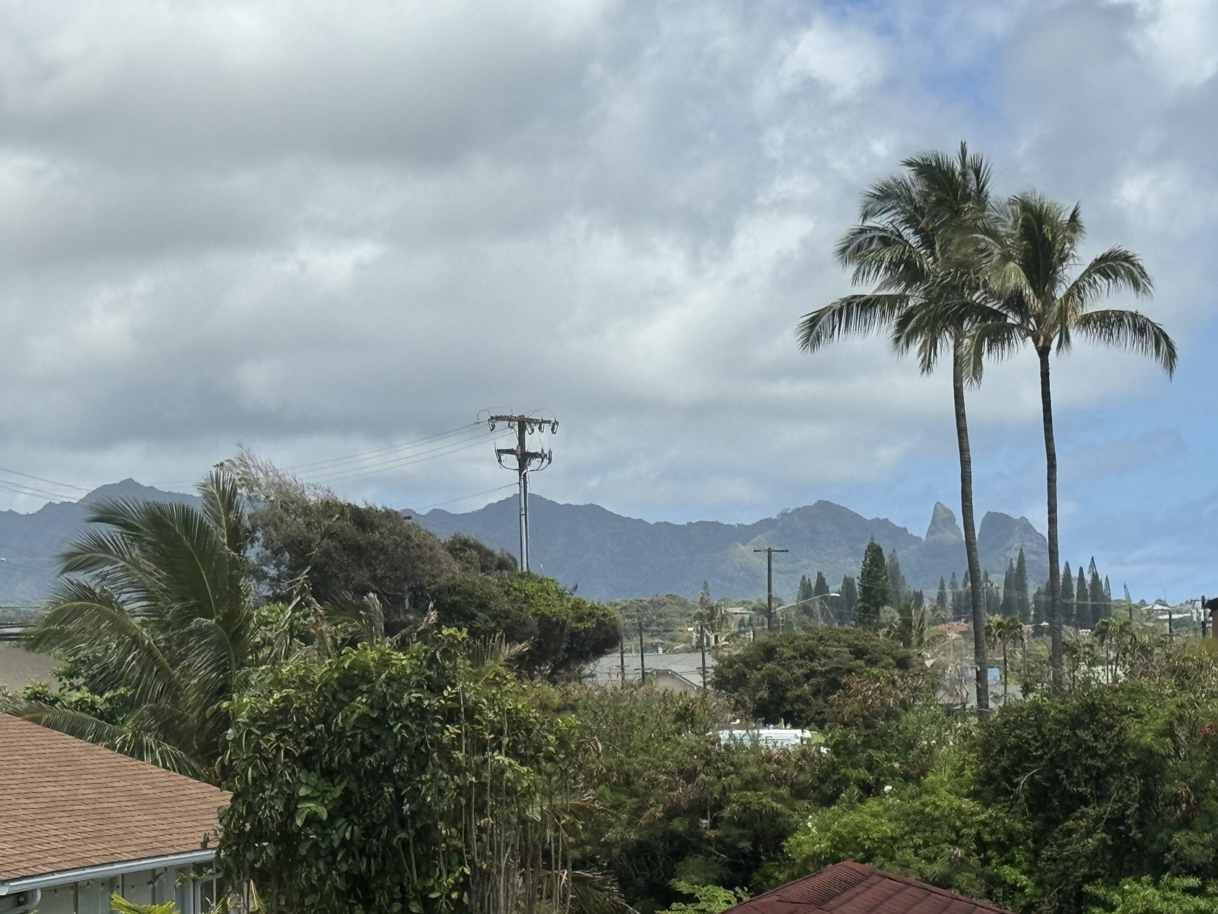 04-1176-b Kuhio Hwy 1 Property Photo 15