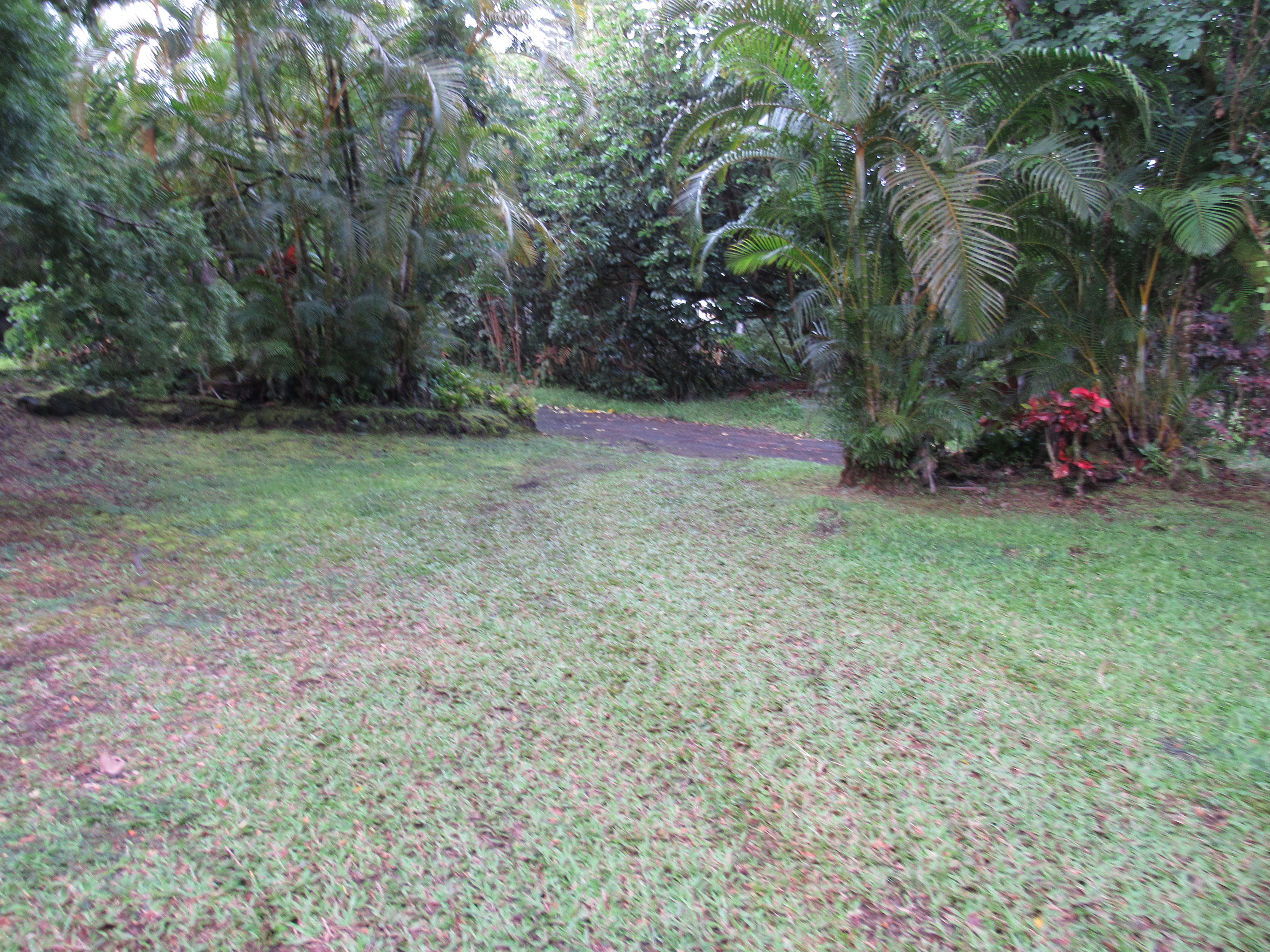 12-567 Aloha Rd Property Photo 29