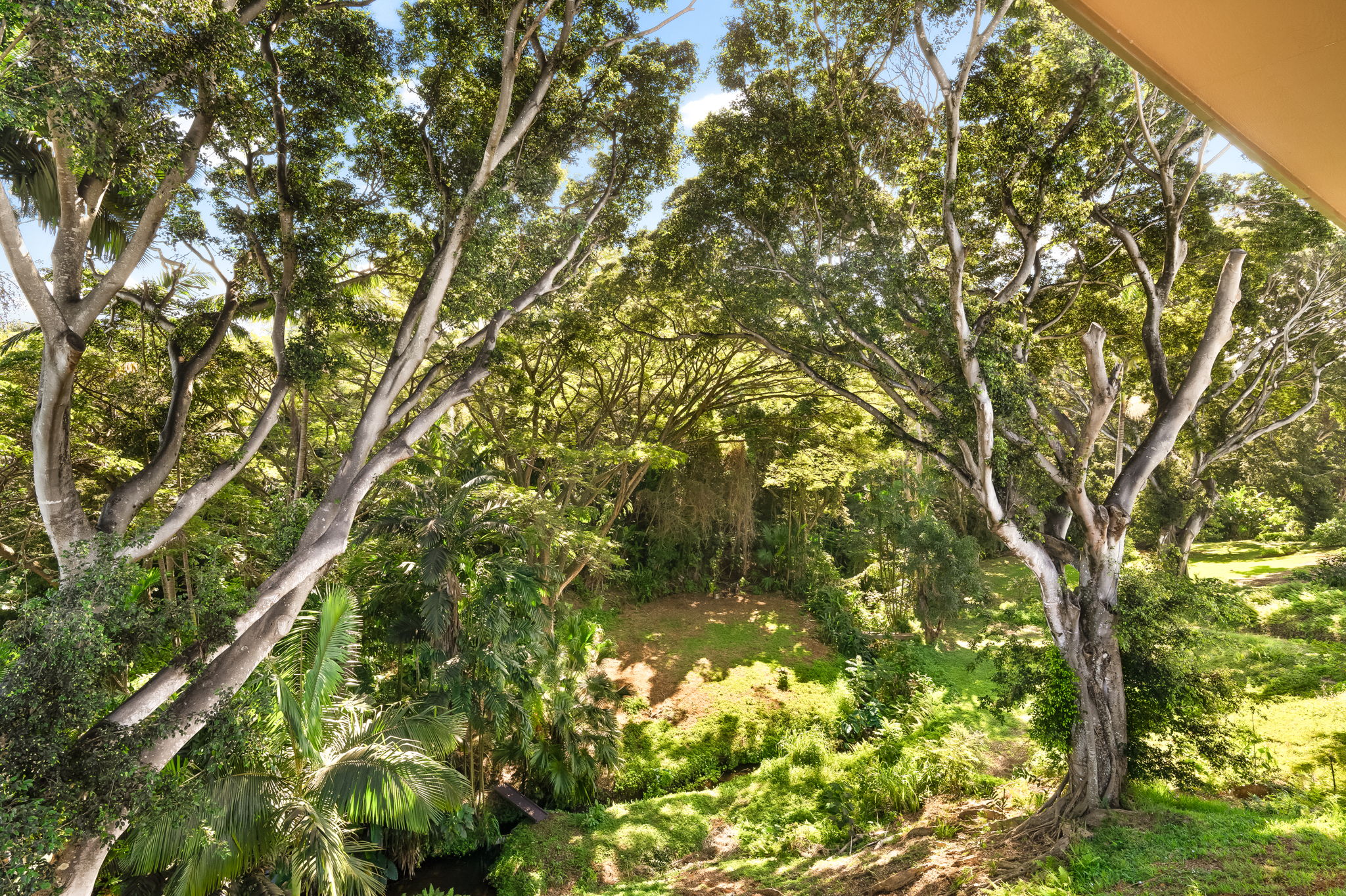 3973 Kalakaua Pl Property Photo 4