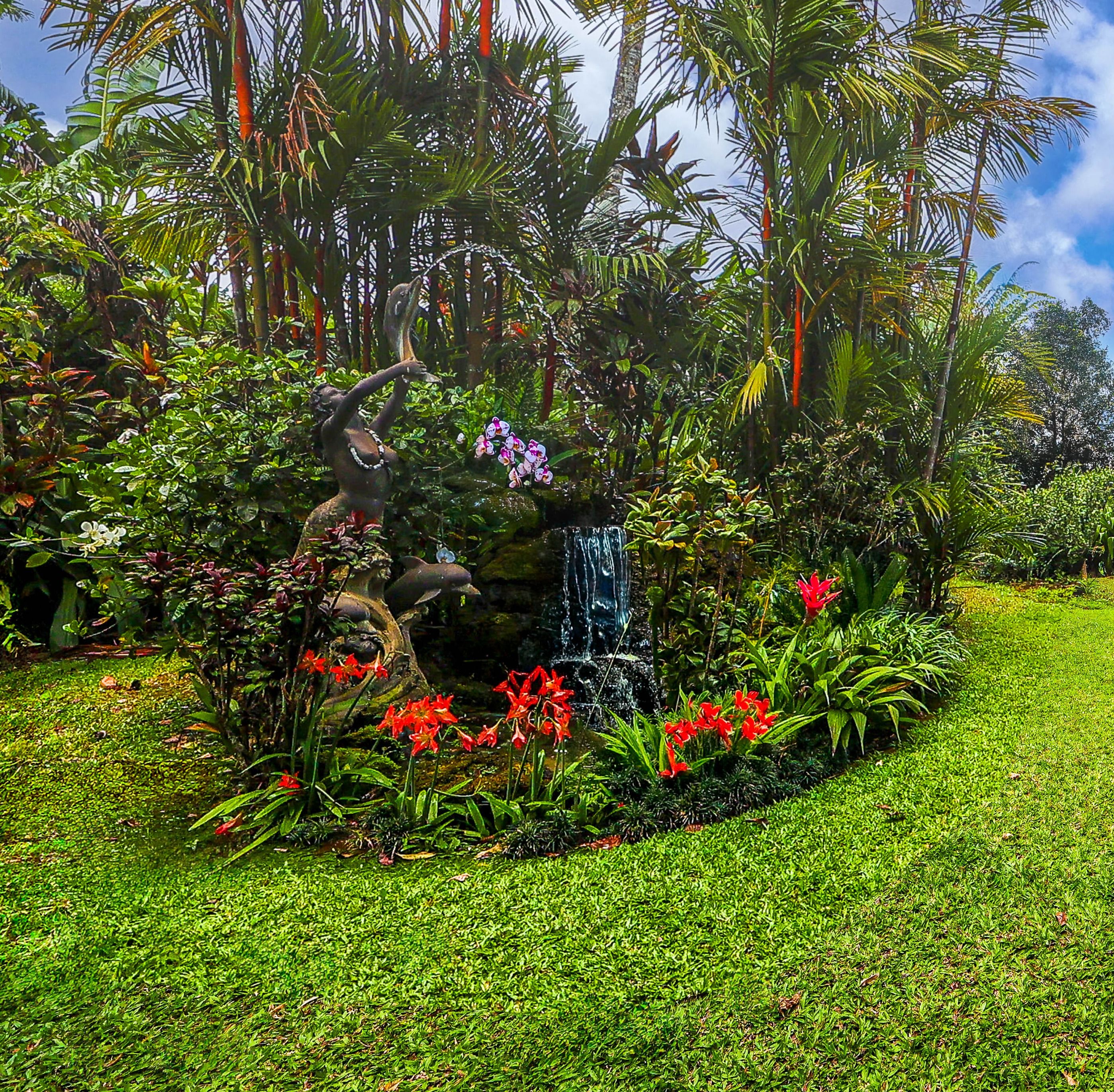 4446 Aku Rd Property Photo 21