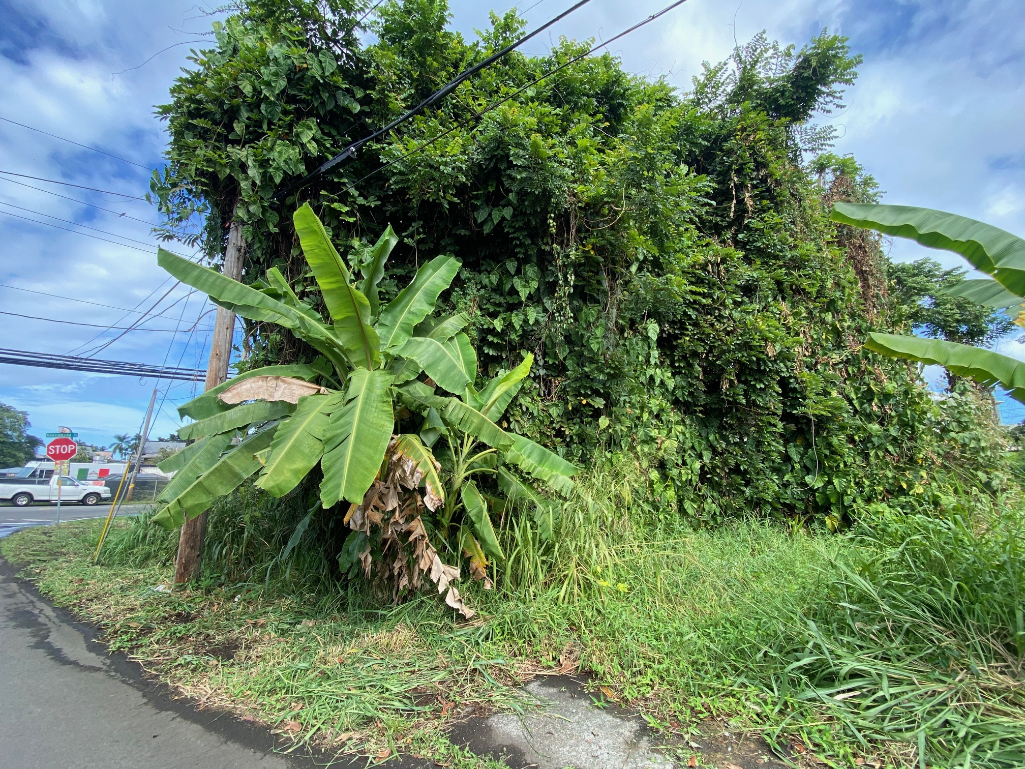 Address Unavailable Property Photo 2