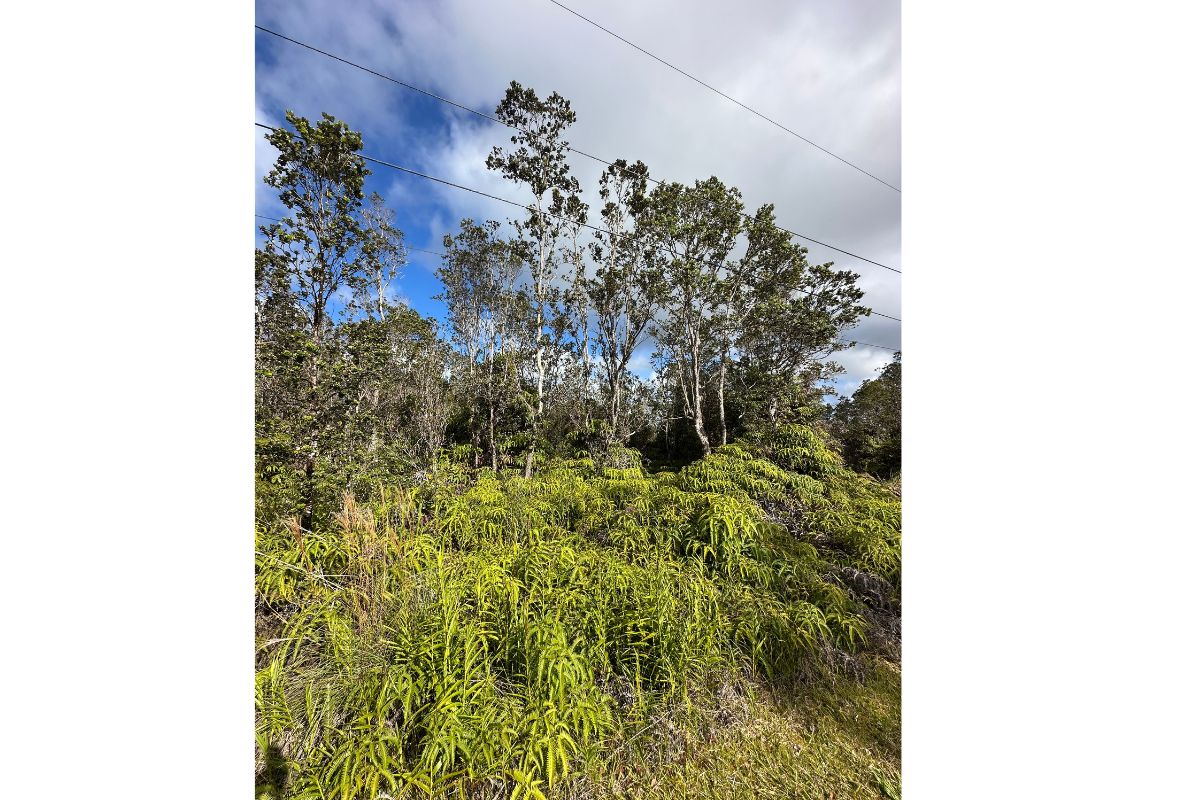 Mokuna St Property Photo 2