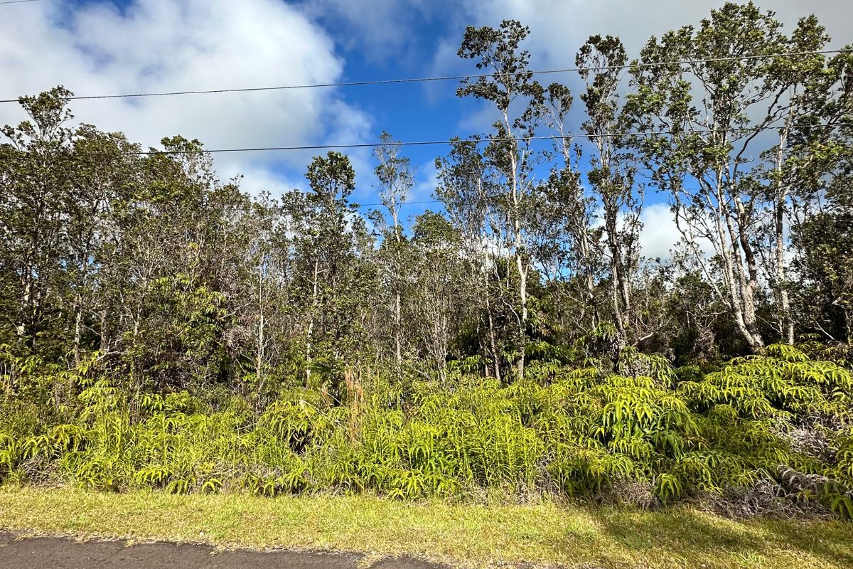 Mokuna St Property Photo 1