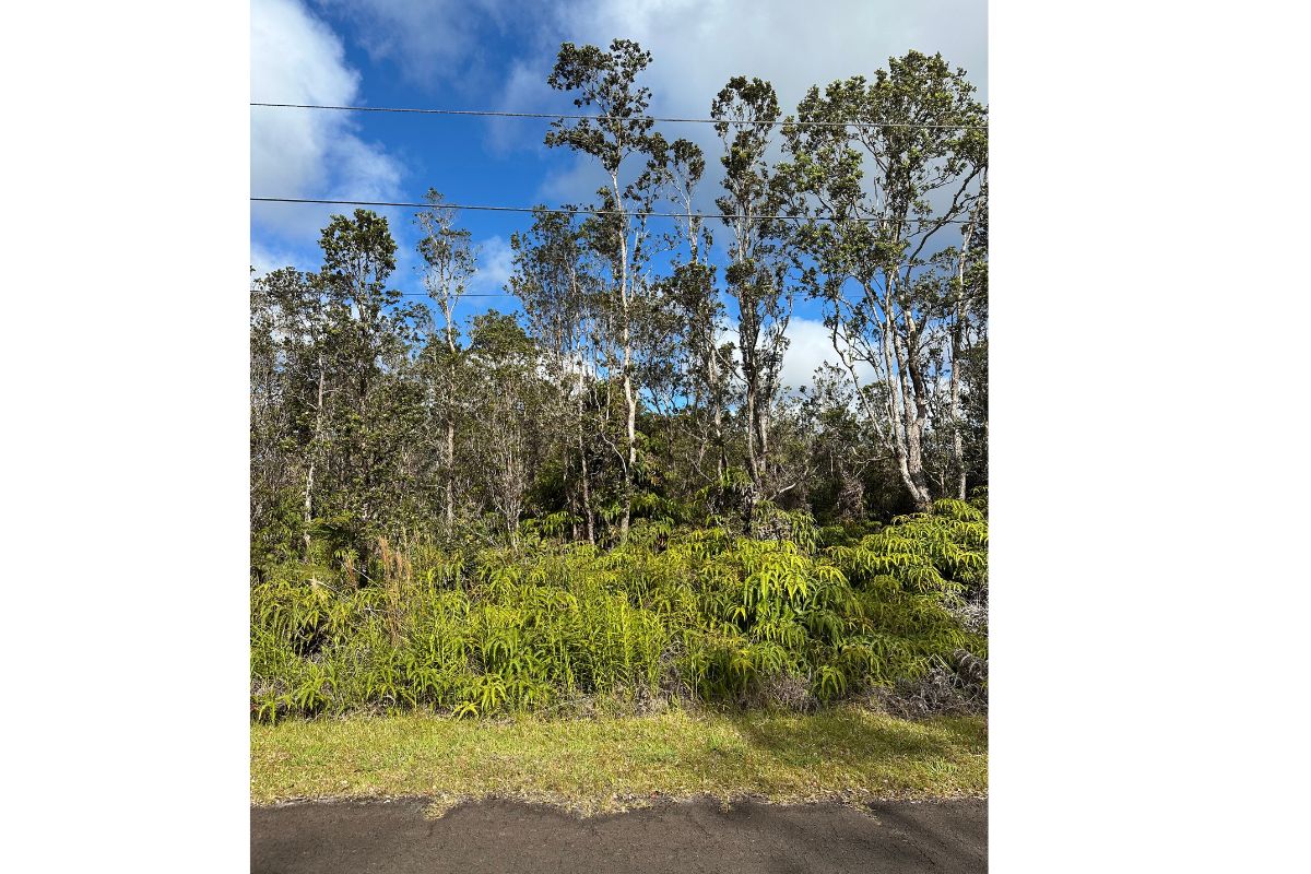 Mokuna St Property Photo 2