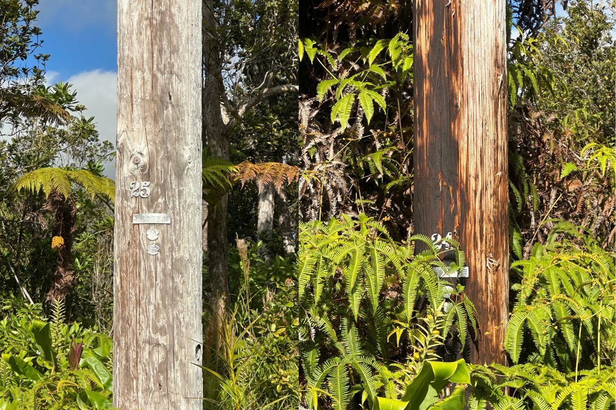 Mokuna St Property Photo 4