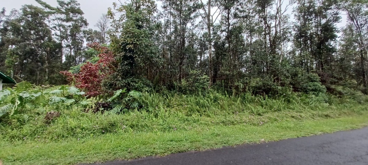 Hapuu Rd Property Photo 1