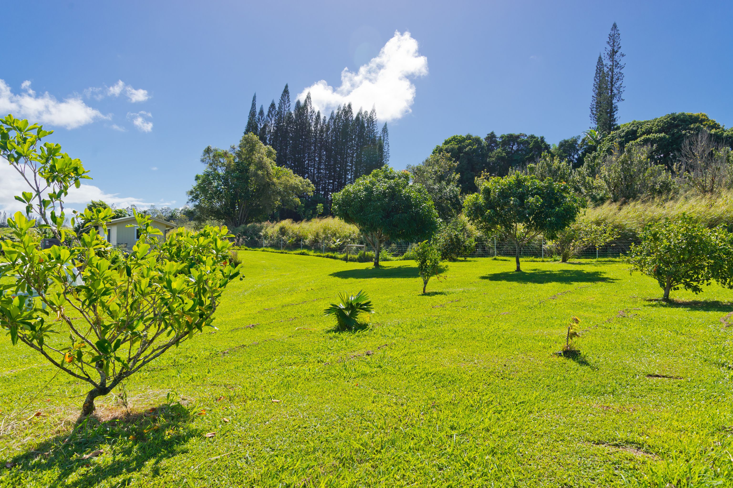 35-281 Kihalani Homestead Rd Property Photo 26
