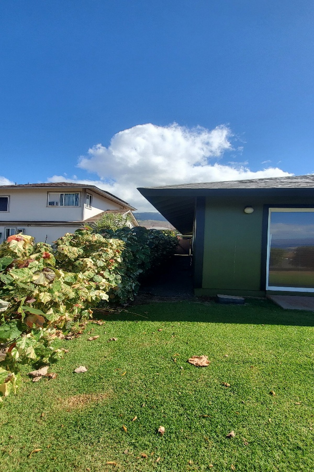 1701 Hooli St Property Photo 14