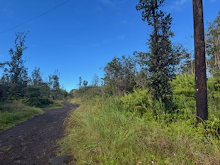 Kehaulani St Property Photo 6