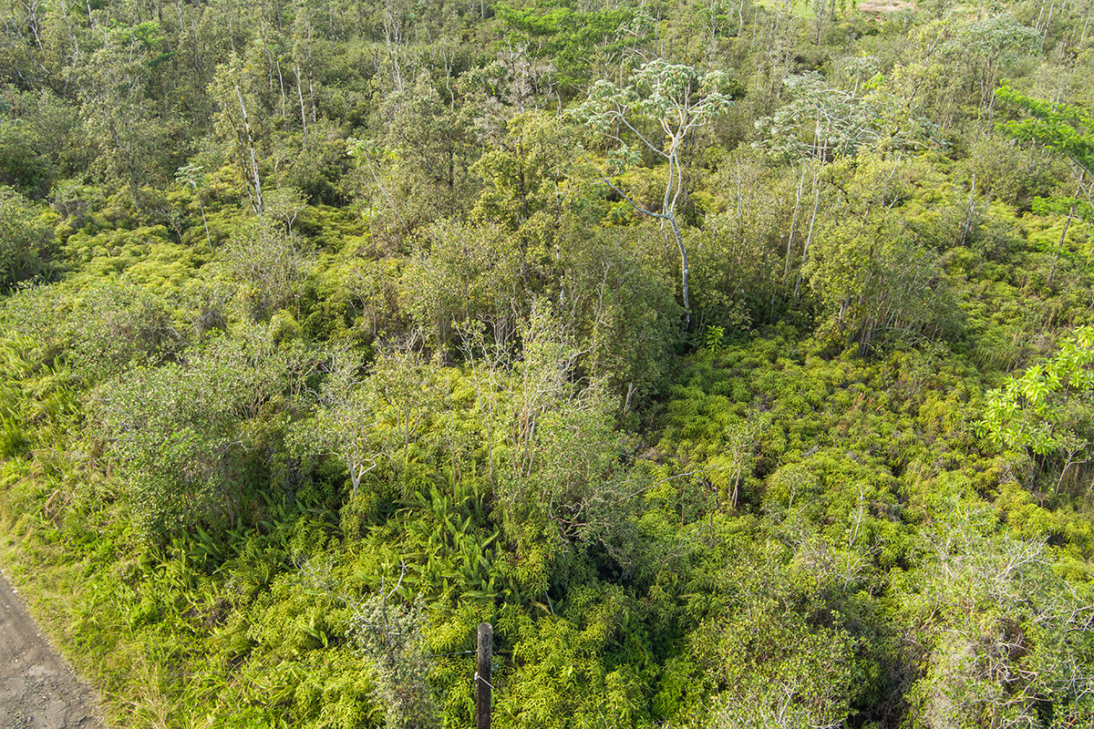 Kehaulani St Property Photo 15