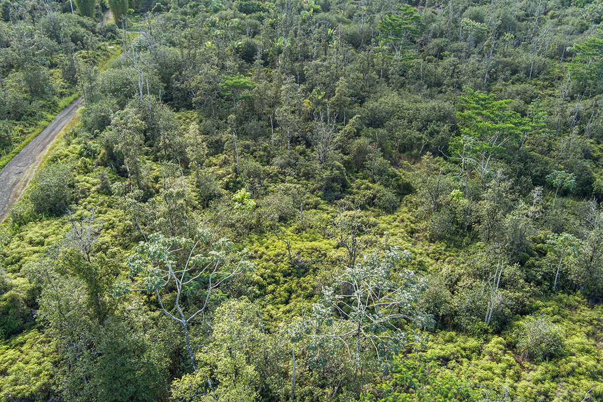 Kehaulani St Property Photo 16