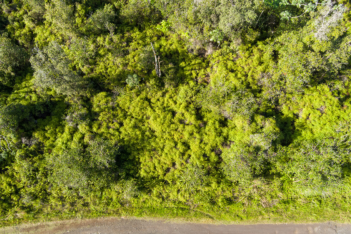 Kehaulani St Property Photo 19