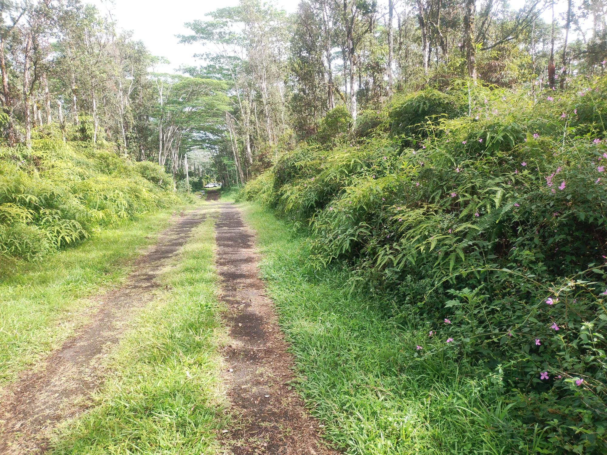 Pahoa Rd Property Photo 3