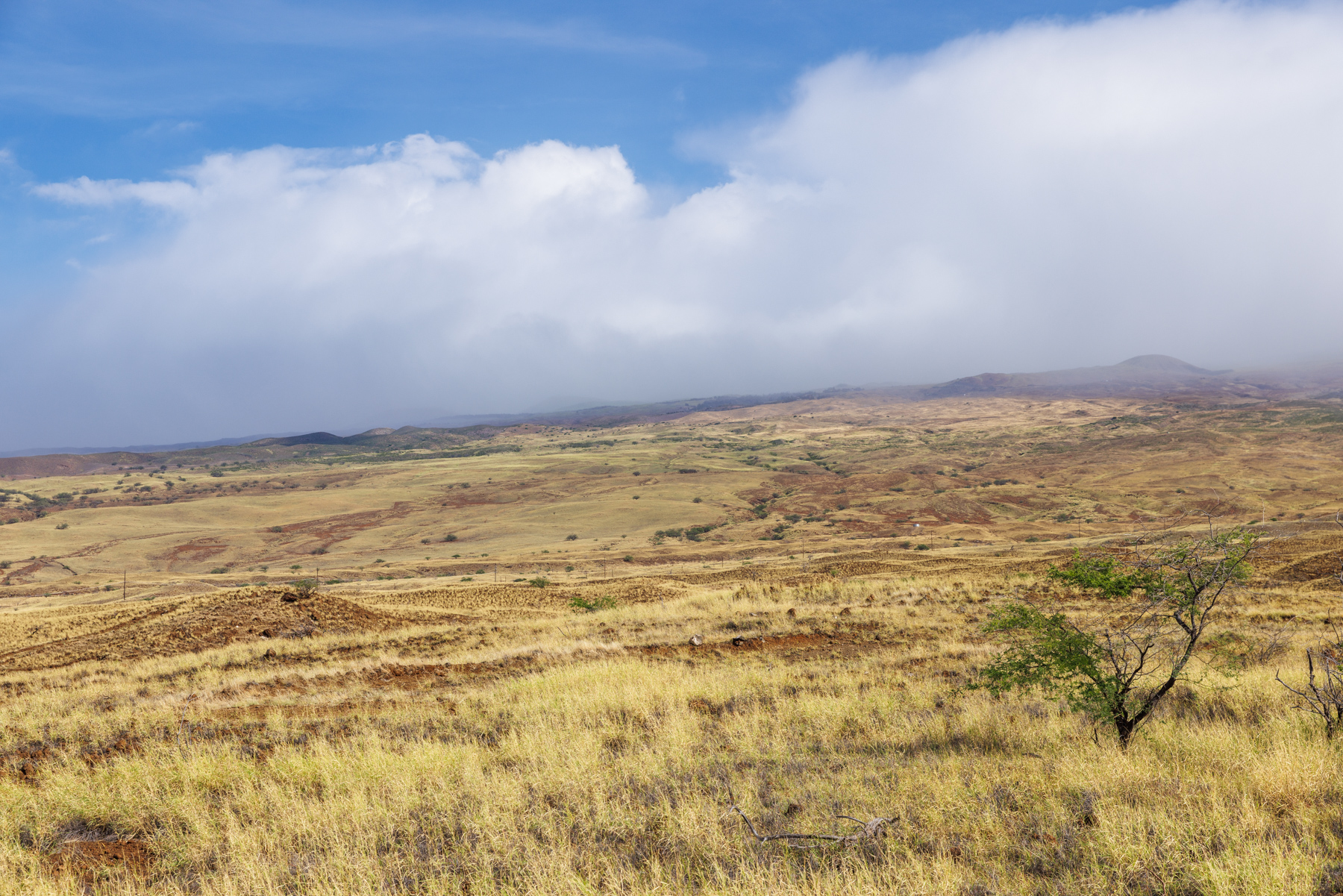 62-5168 Hapuna Pl Property Photo 10