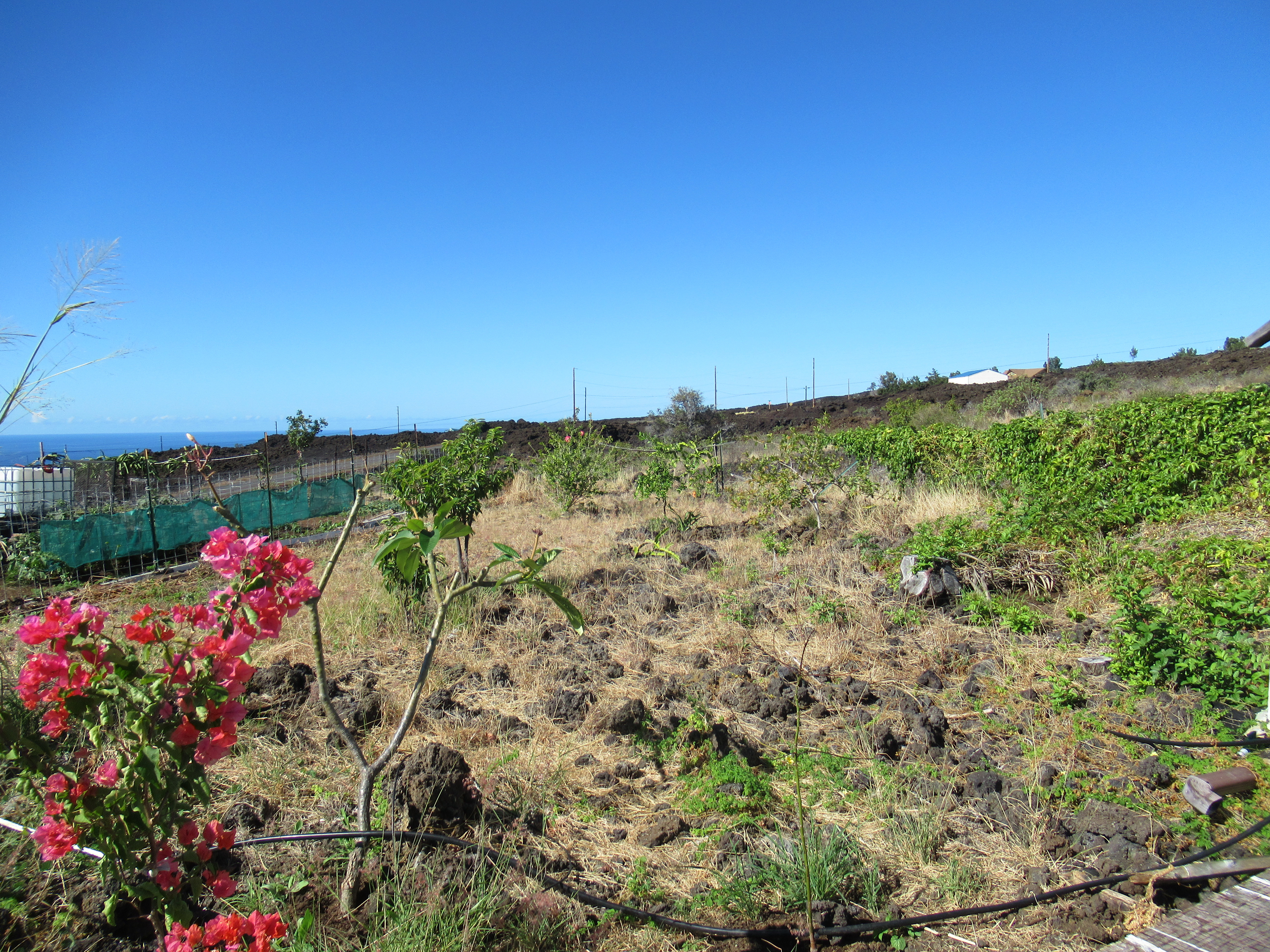 92-8636 Menehune Dr Property Photo 25
