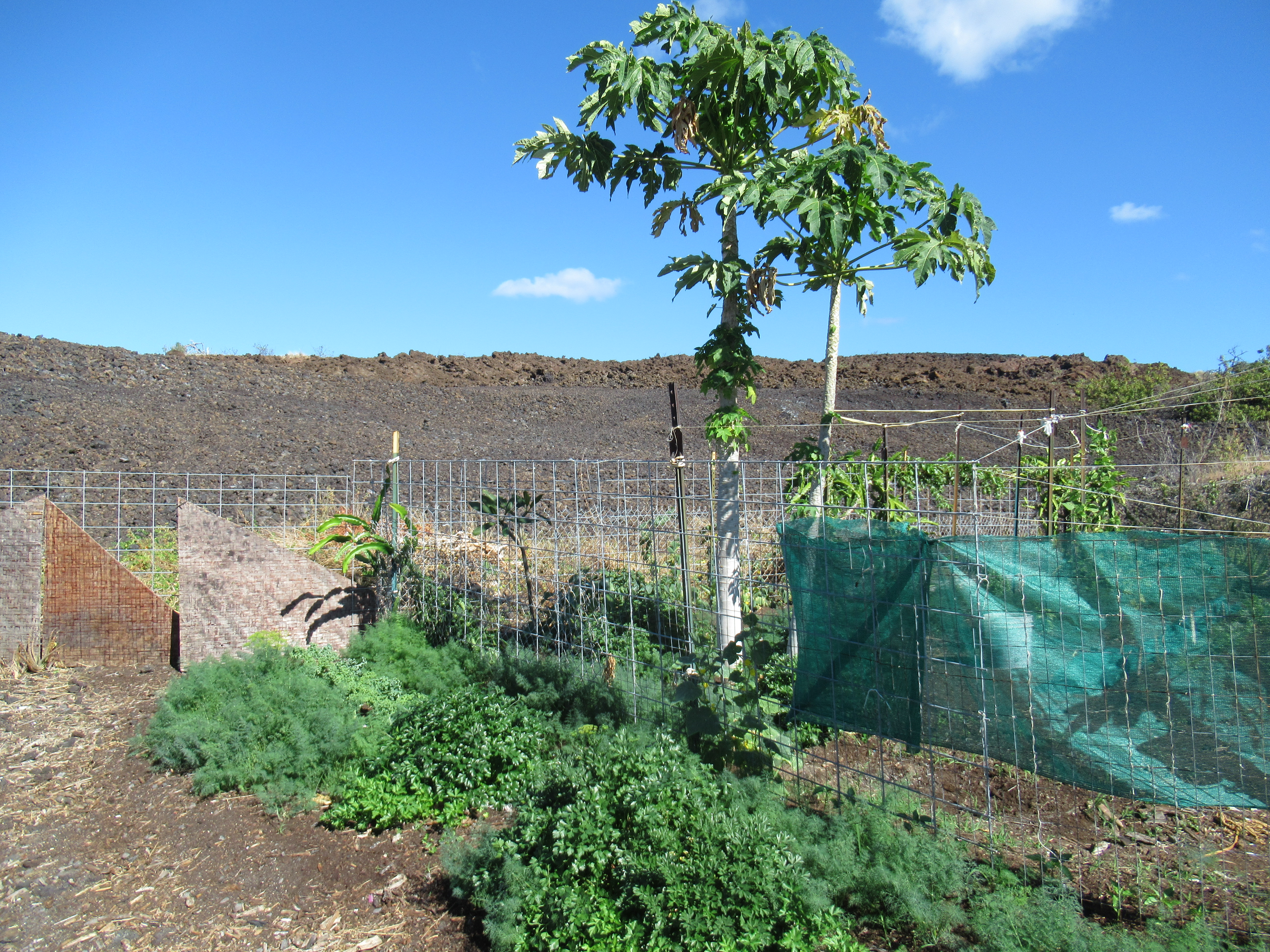 92-8636 Menehune Dr Property Photo 26