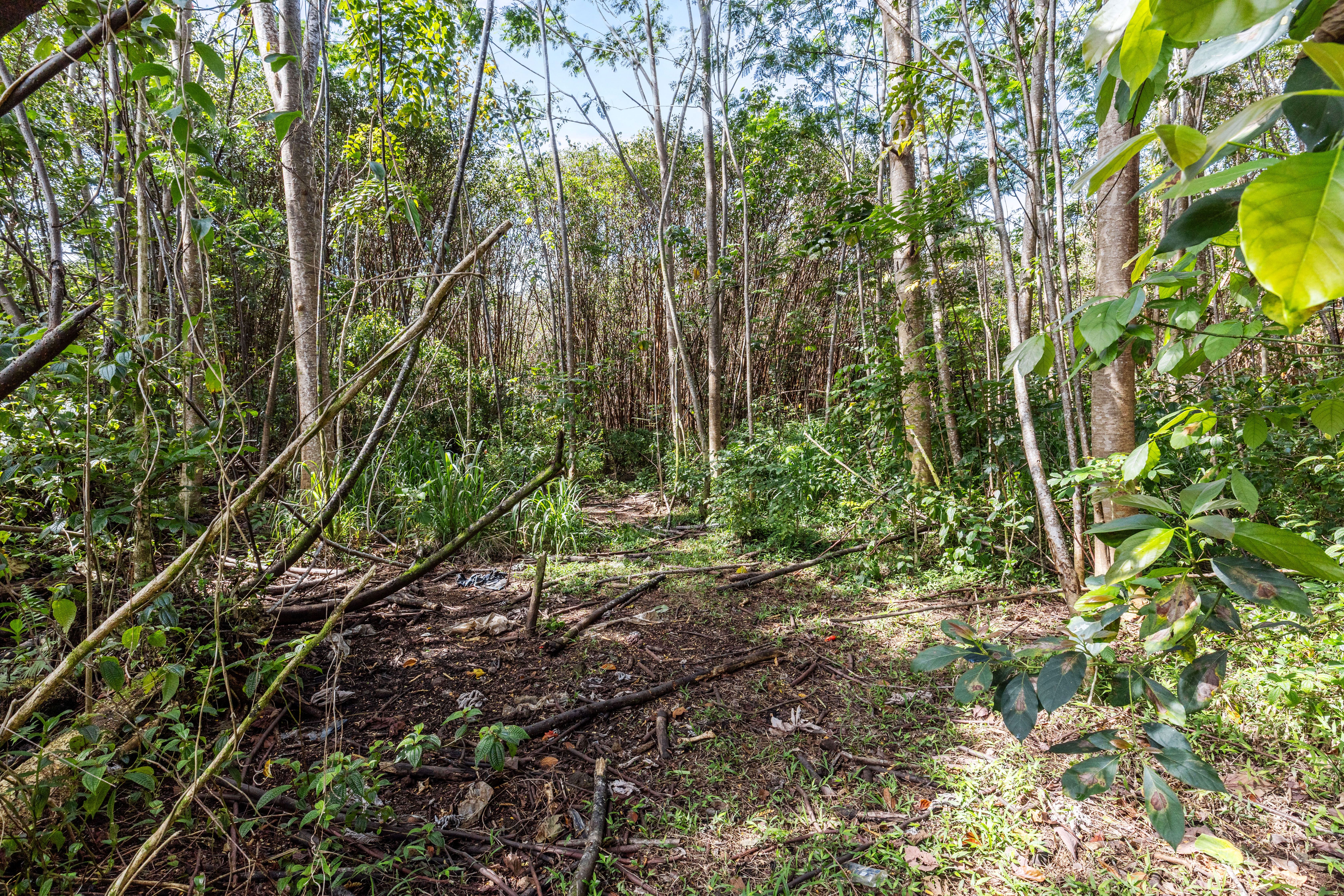Ainalako Rd Property Photo 10