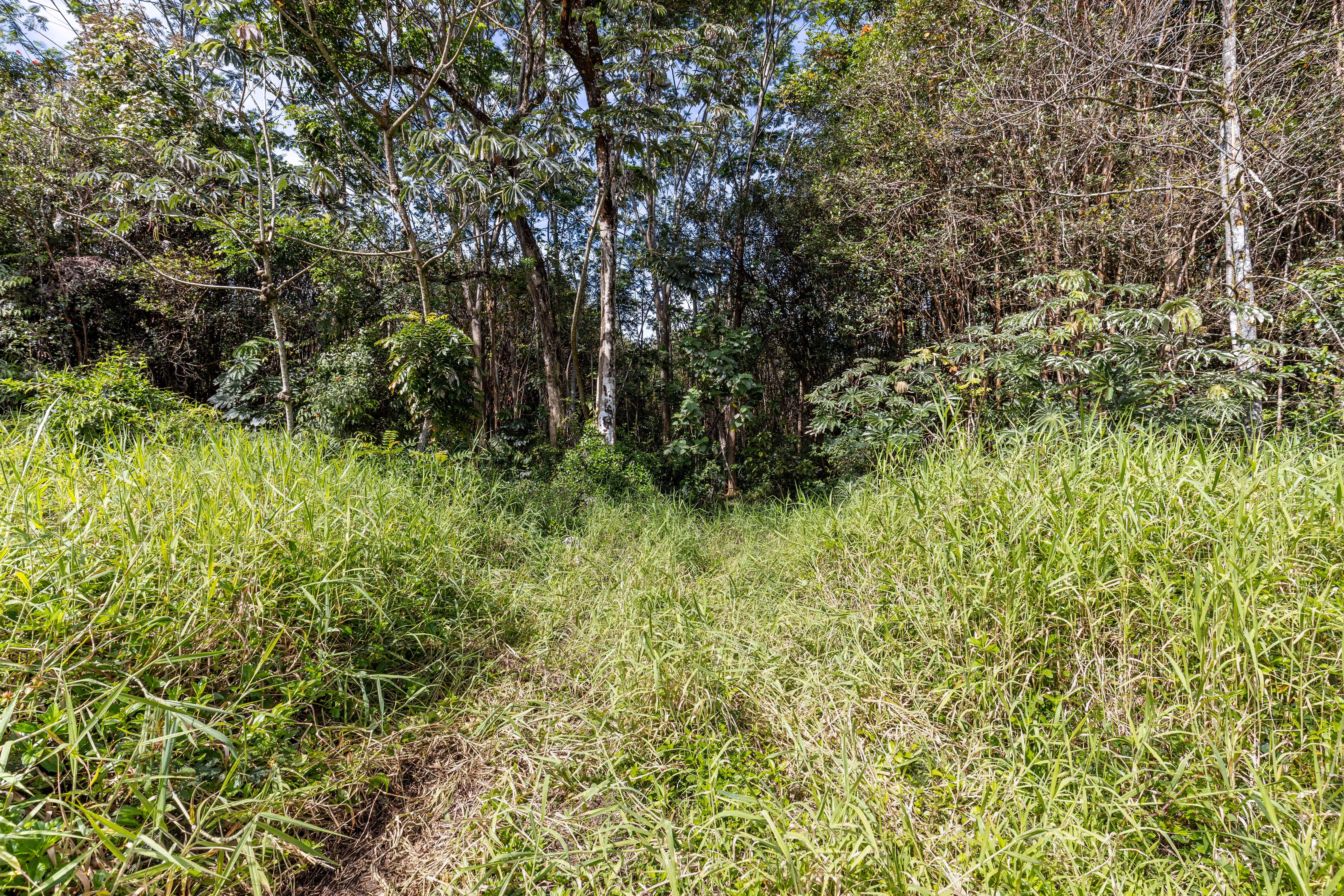 Ainalako Rd Property Photo 11