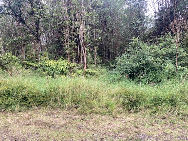 Road 5 Property Photo