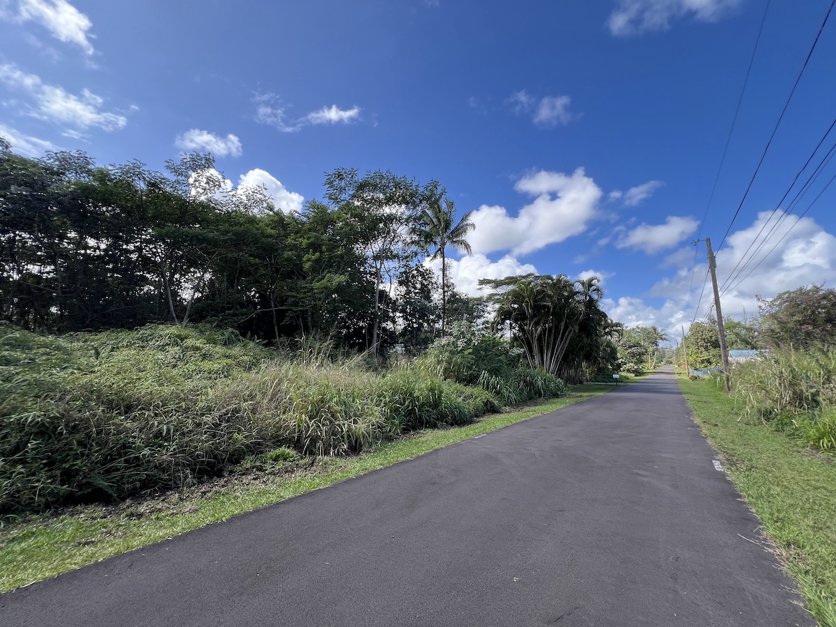 Mano St Property Photo 2