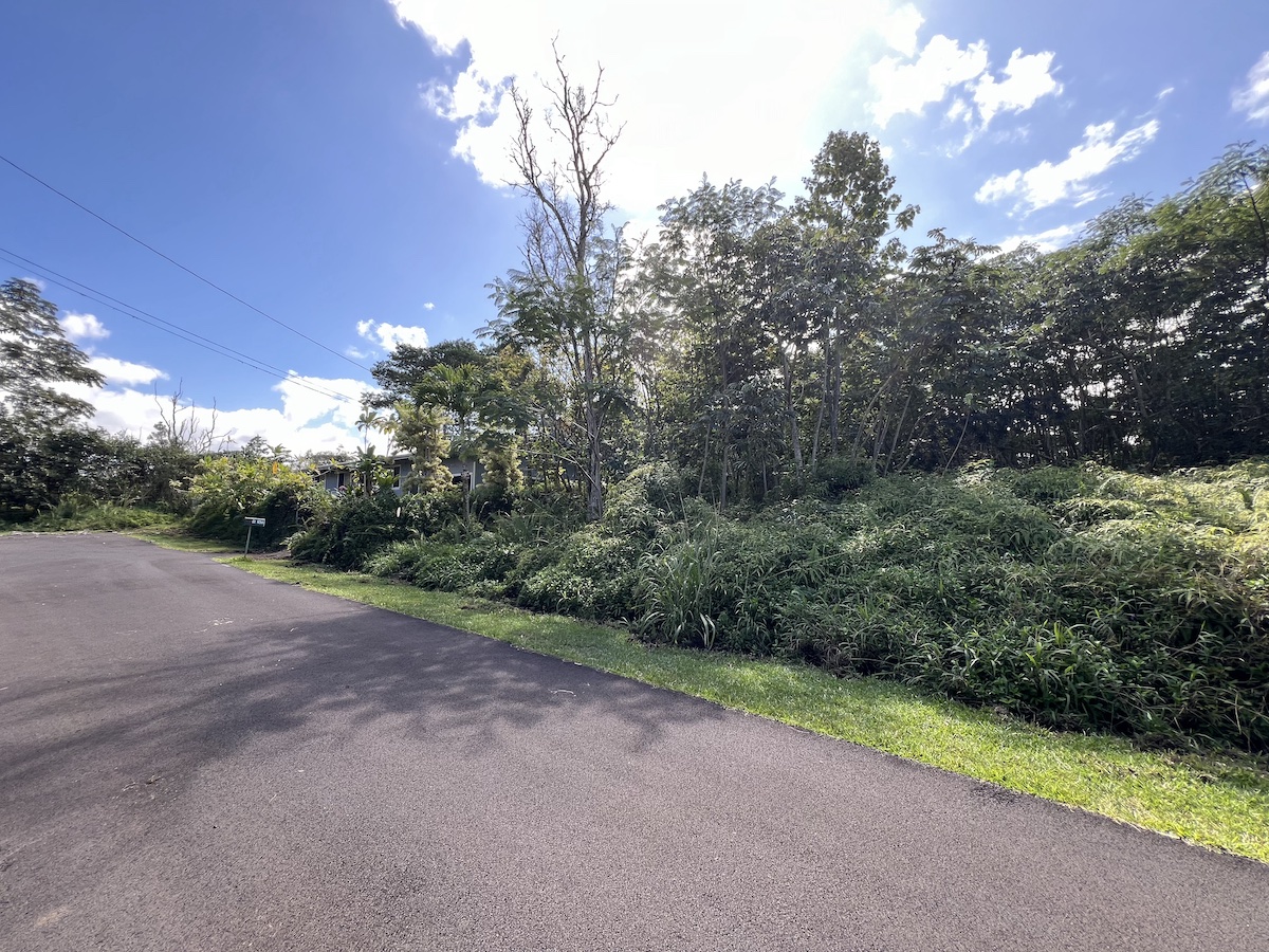 Mano St Property Photo 3