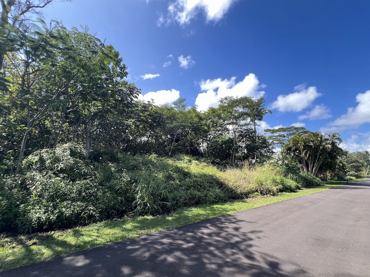 Mano St Property Photo 5