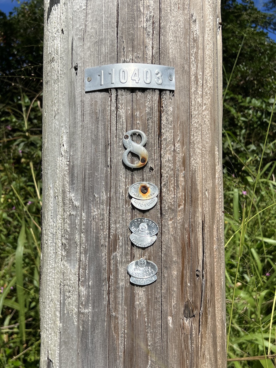 Mano St Property Photo 12