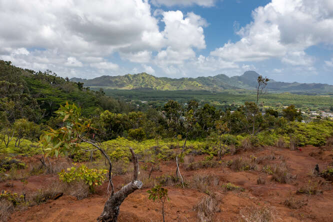 2-3963 Kaumualii Hwy L Property Photo 30